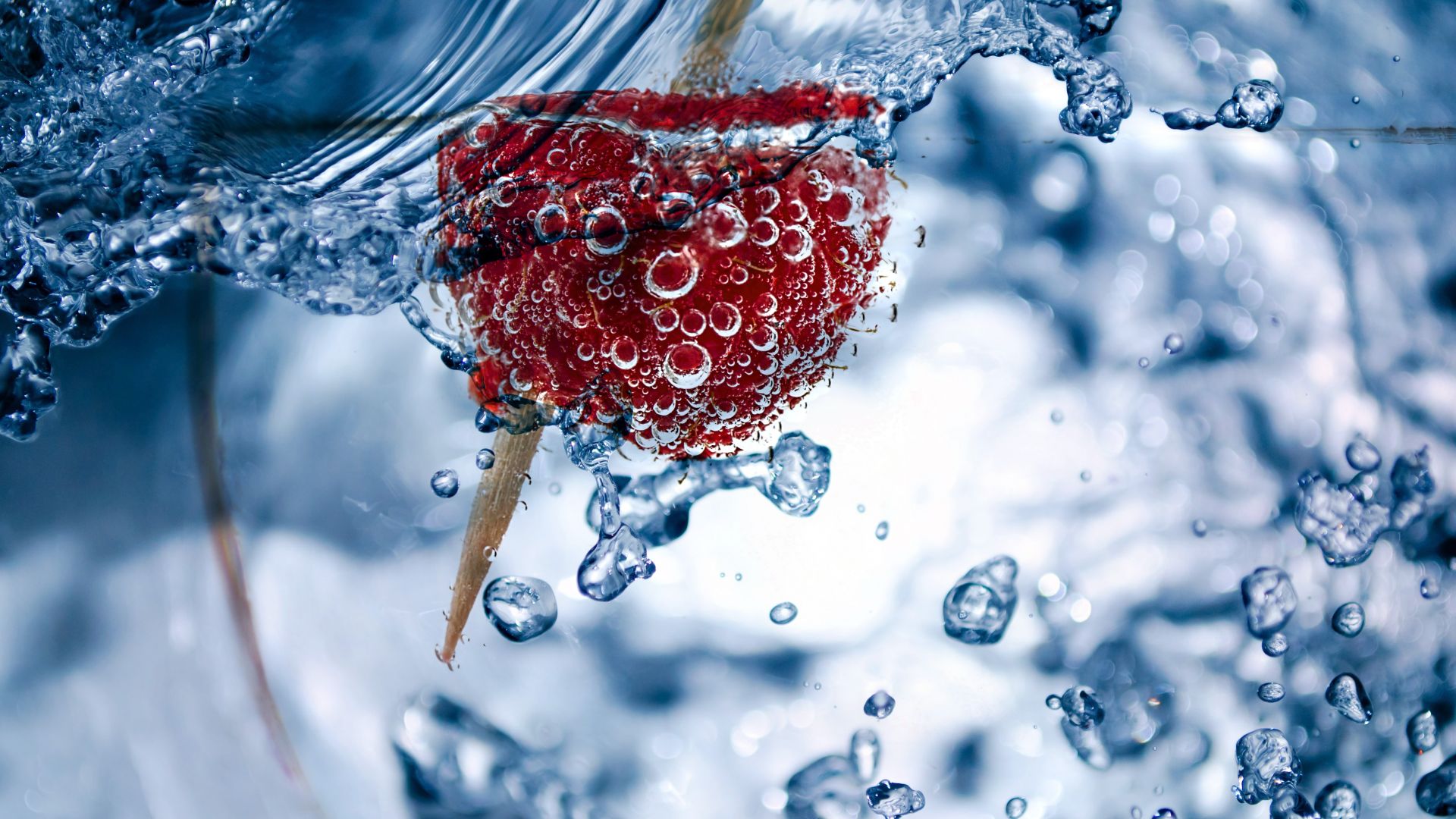 Wallpaper Bubbles, raspberry, fruit, submerged