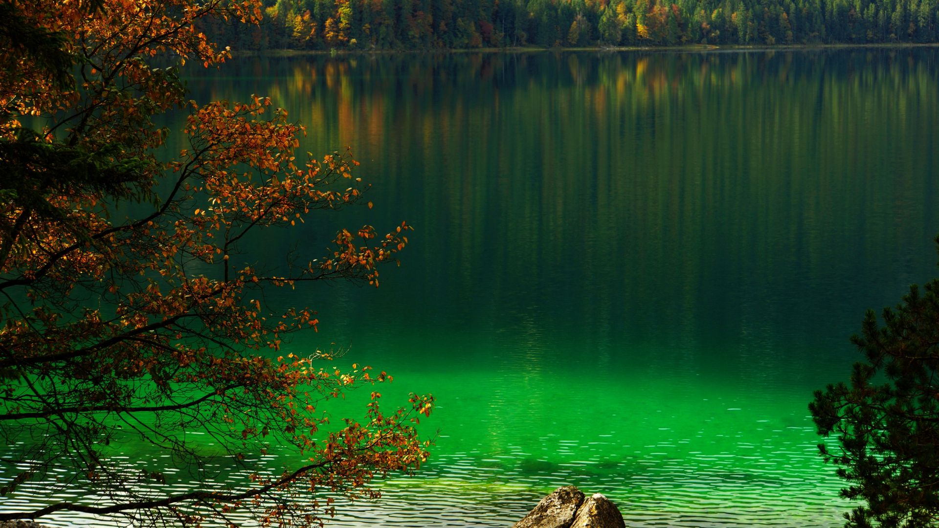 Wallpaper Lake, forest, tree, nature, 4k