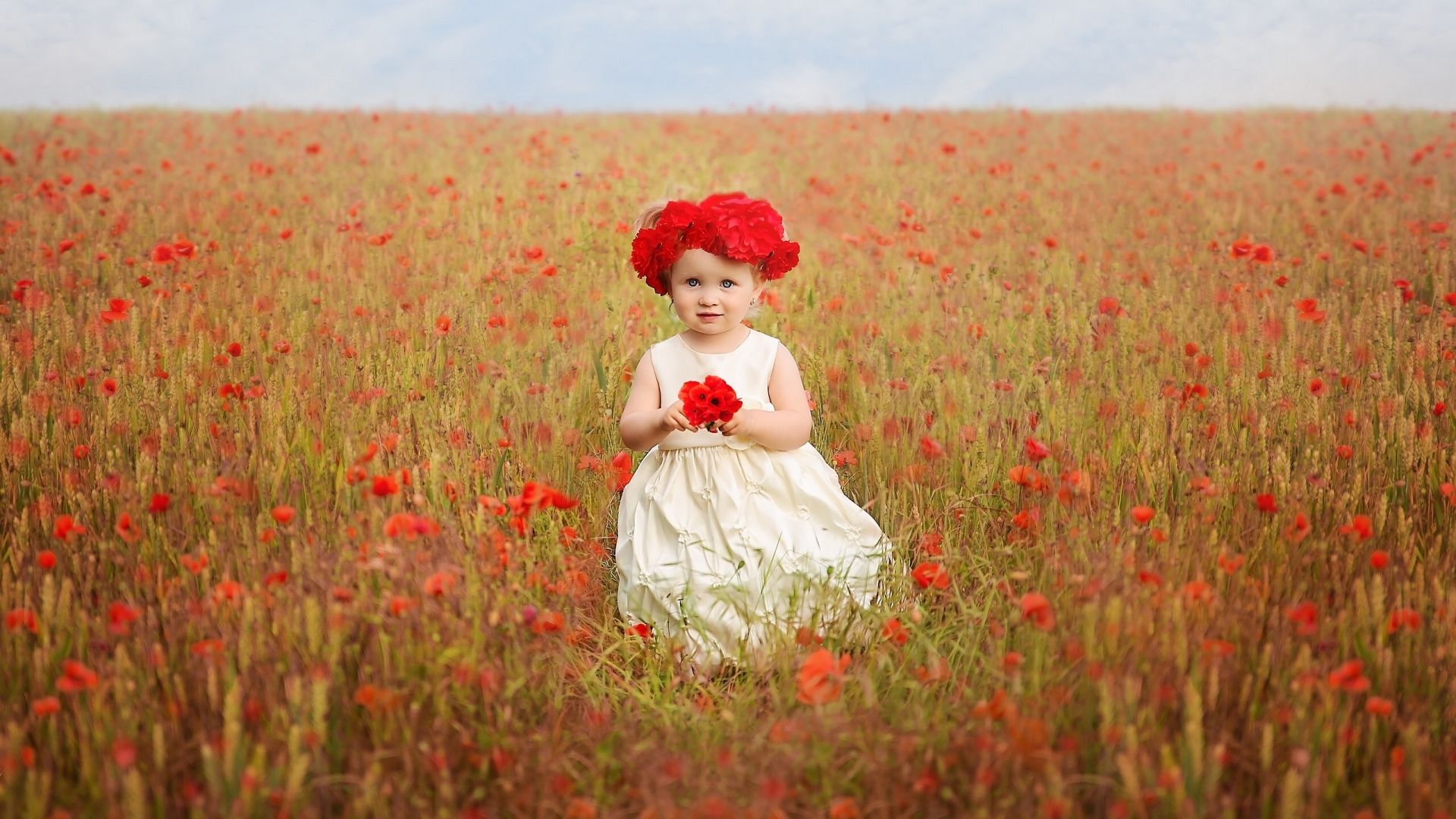 Desktop Wallpaper Cute Baby Girl In Poppy Field, Hd Image, Picture,  Background, C5pyqb