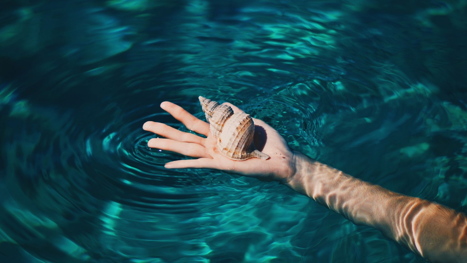 Wallpaper Seashell in hand