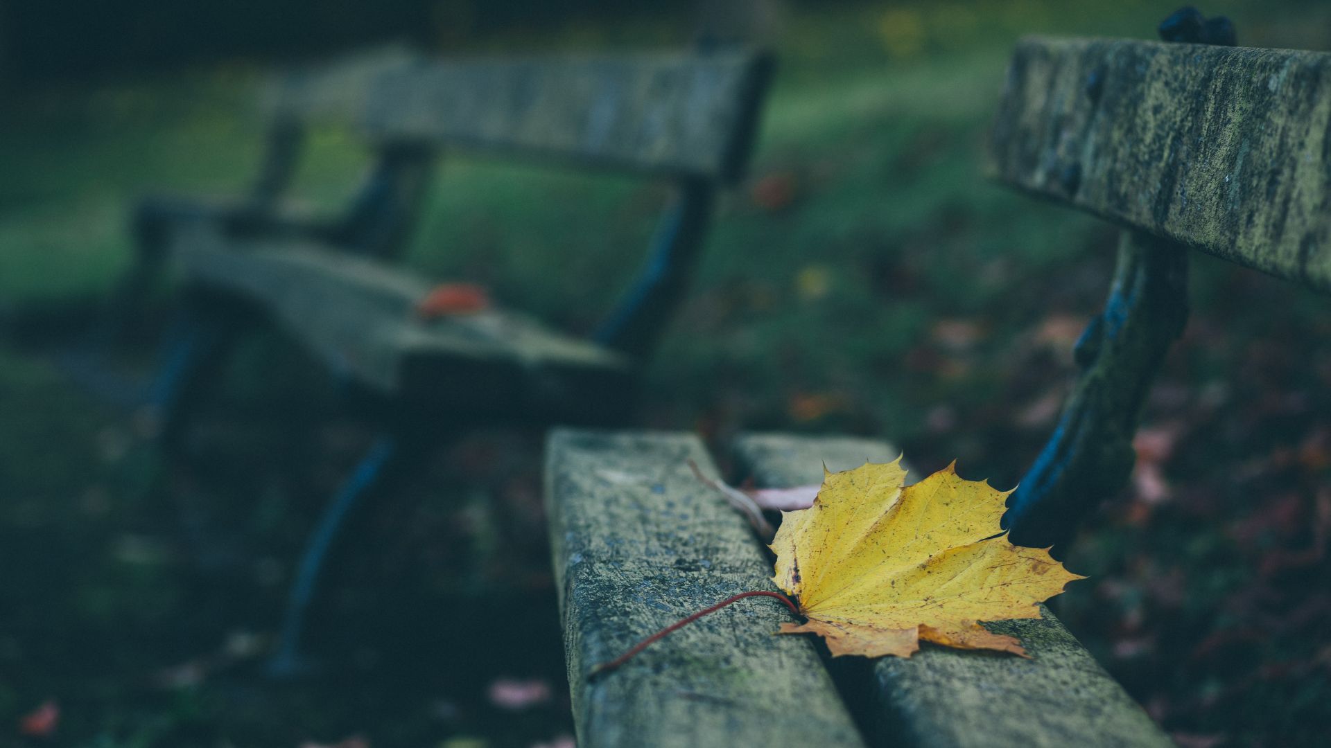 Wallpaper Leaf, autumn, bench