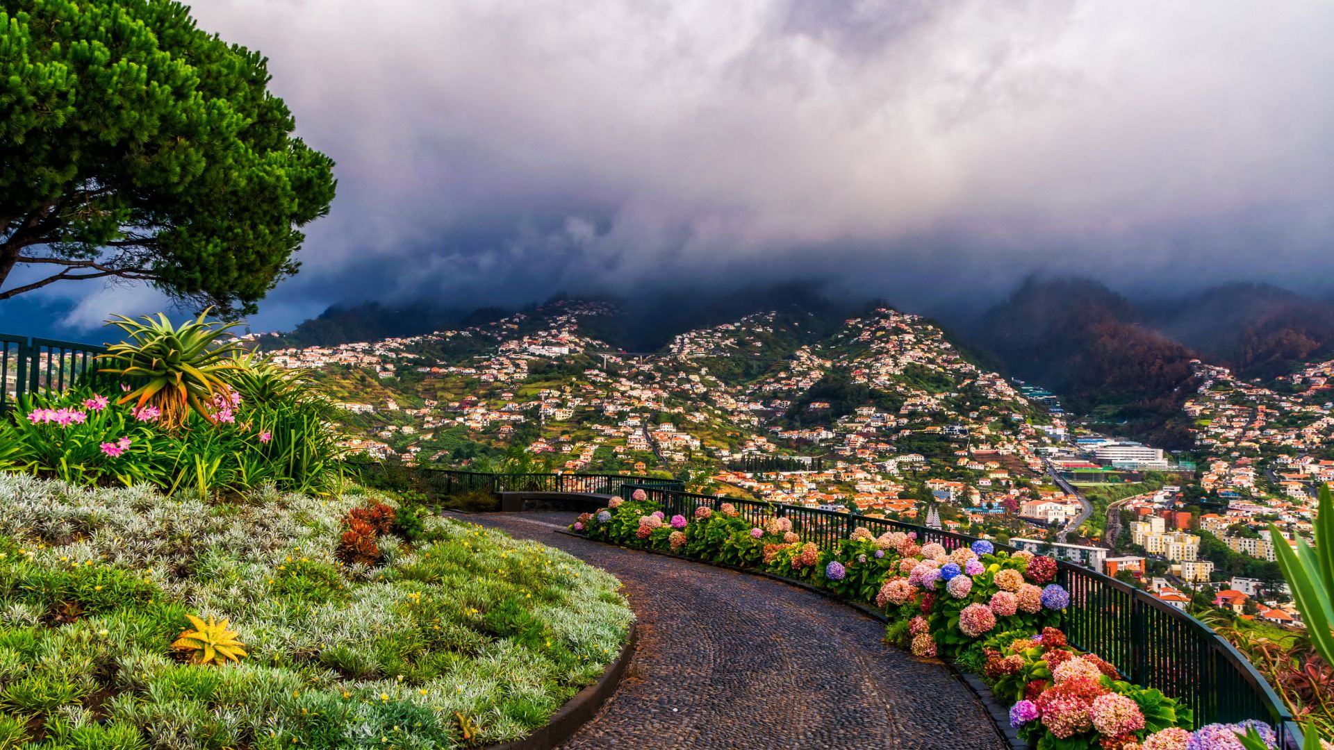 Wallpaper Madeira, city, hill station, town, mountains, clouds, flowers