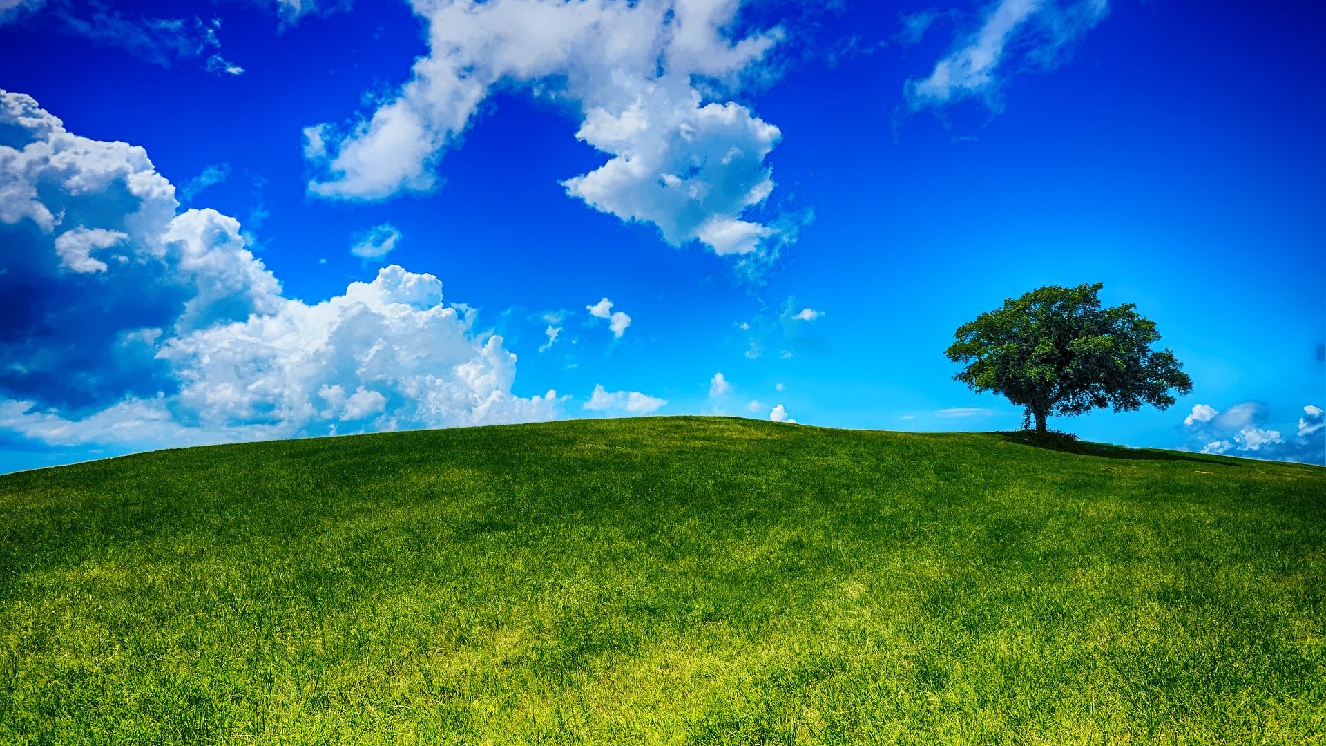 Wallpaper Hill, tree, landscape, nature, sky, clouds
