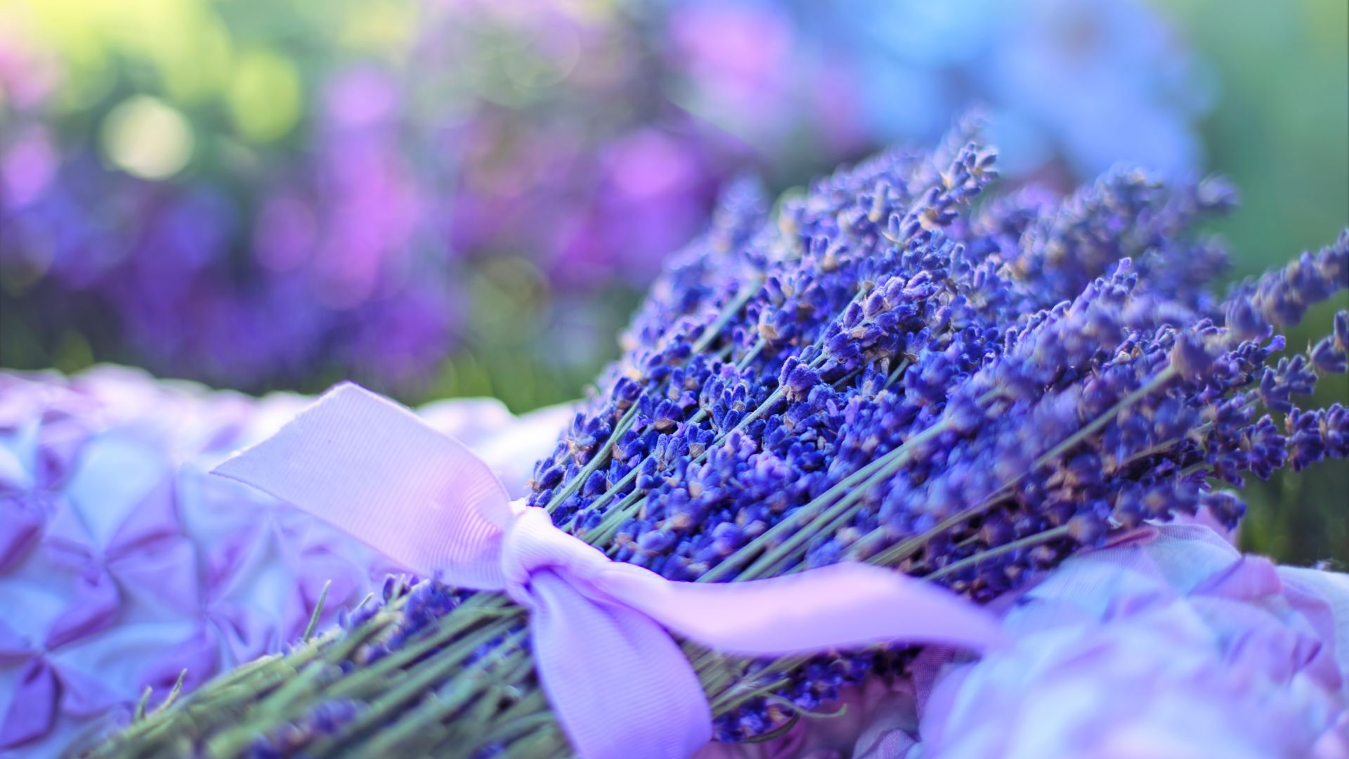 Wallpaper Bokeh, fresh flowers, lavender, purple