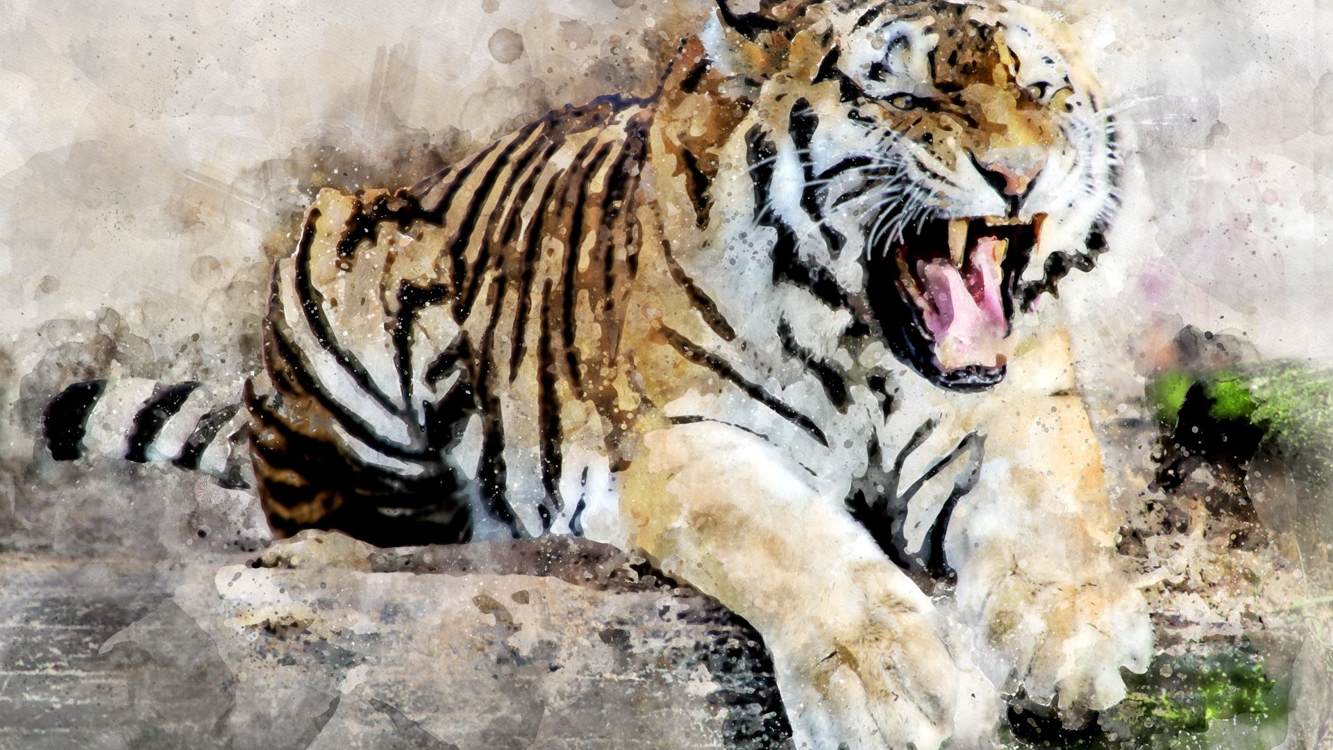 Wallpaper Tiger, predator, roar, art, 4k