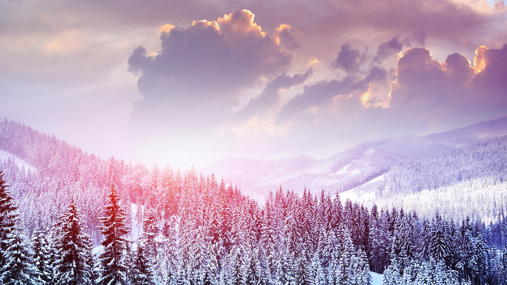 Wallpaper Mountains, tree, winter, snow, mist