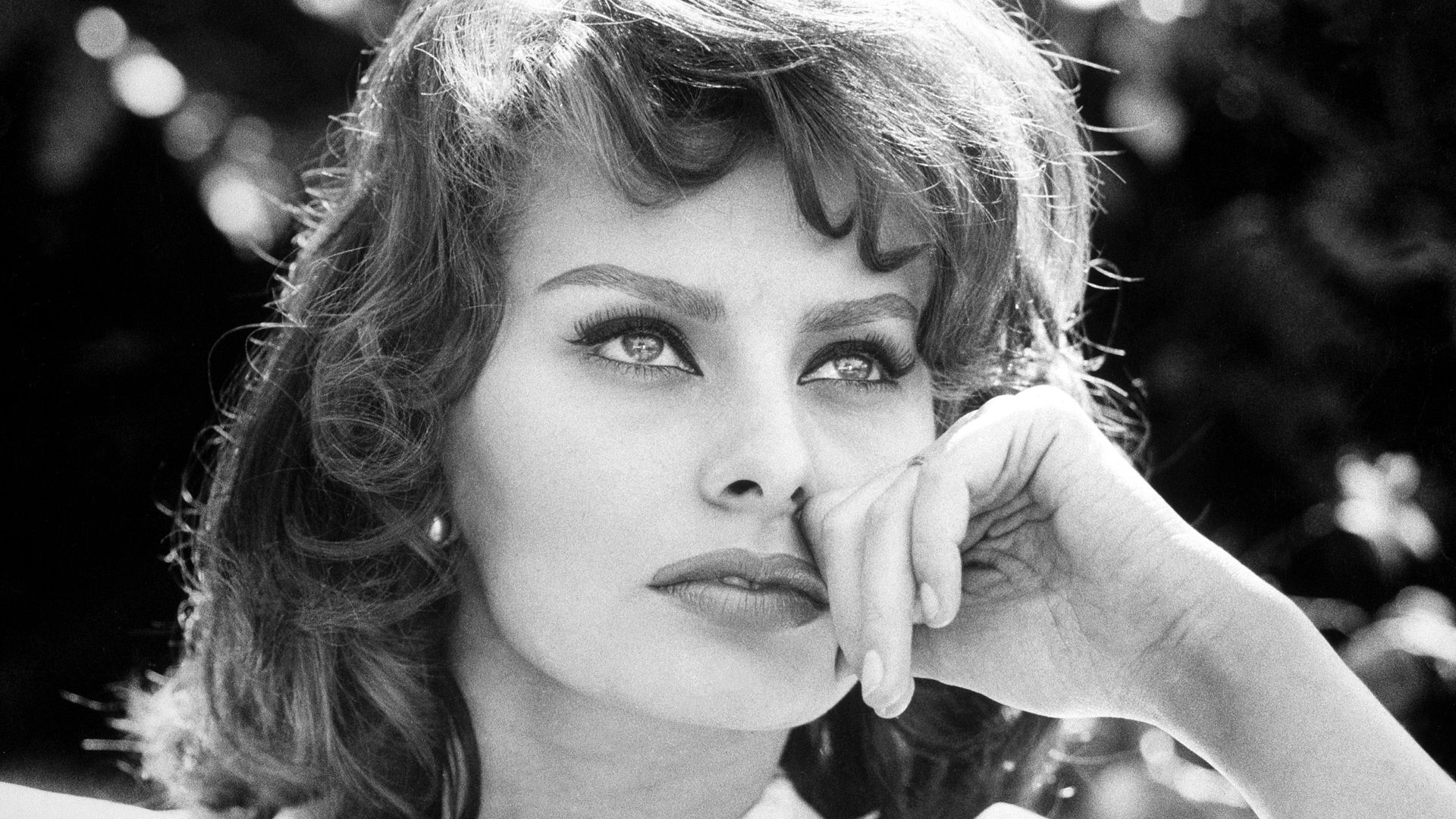 Wallpaper Sophia Loren, actress, monochrome