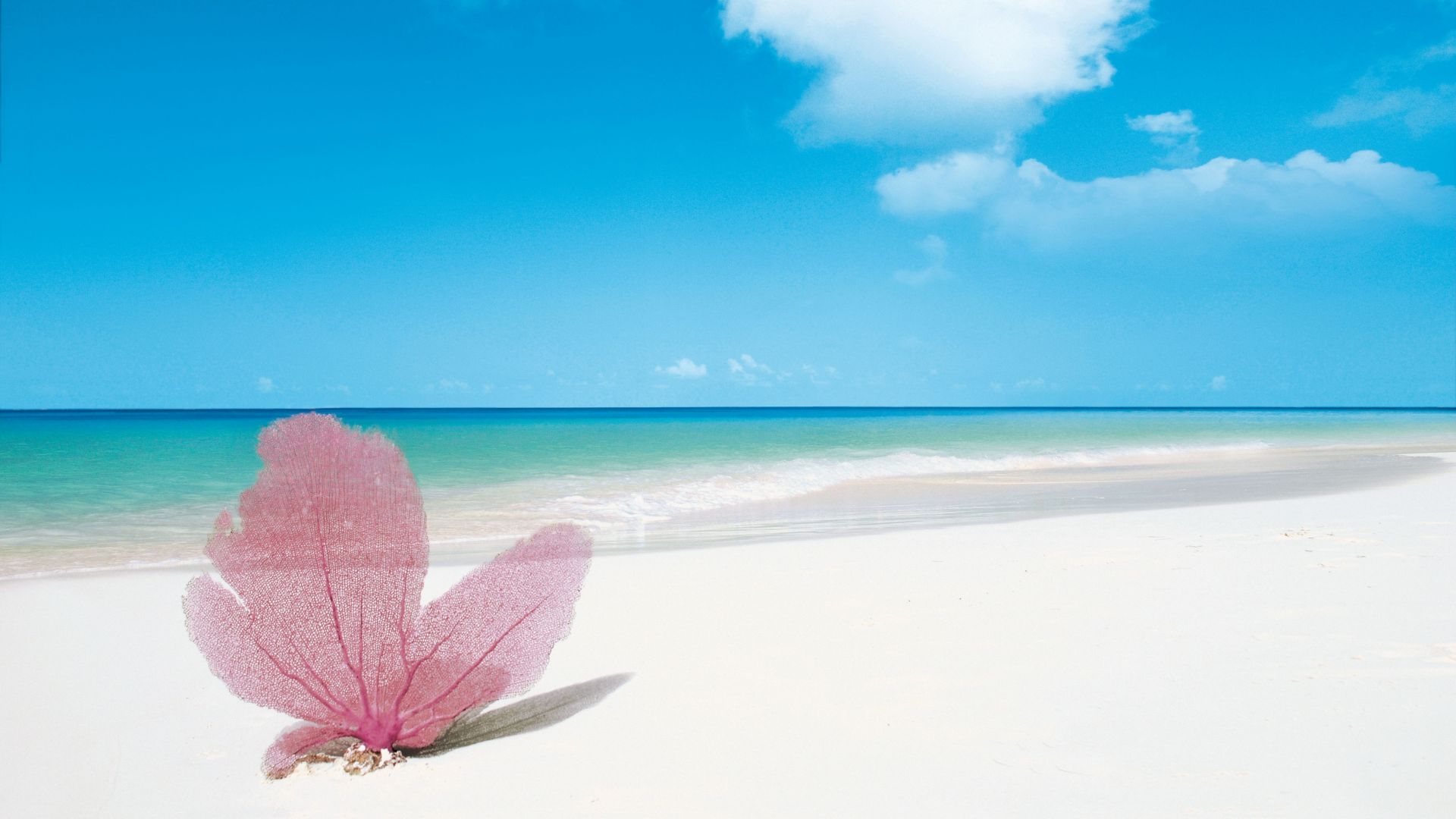 Desktop Wallpaper Playa Paraiso, Cayo Largo, Cuba Beaches, Hd Image,  Picture, Background, Cu Cwv