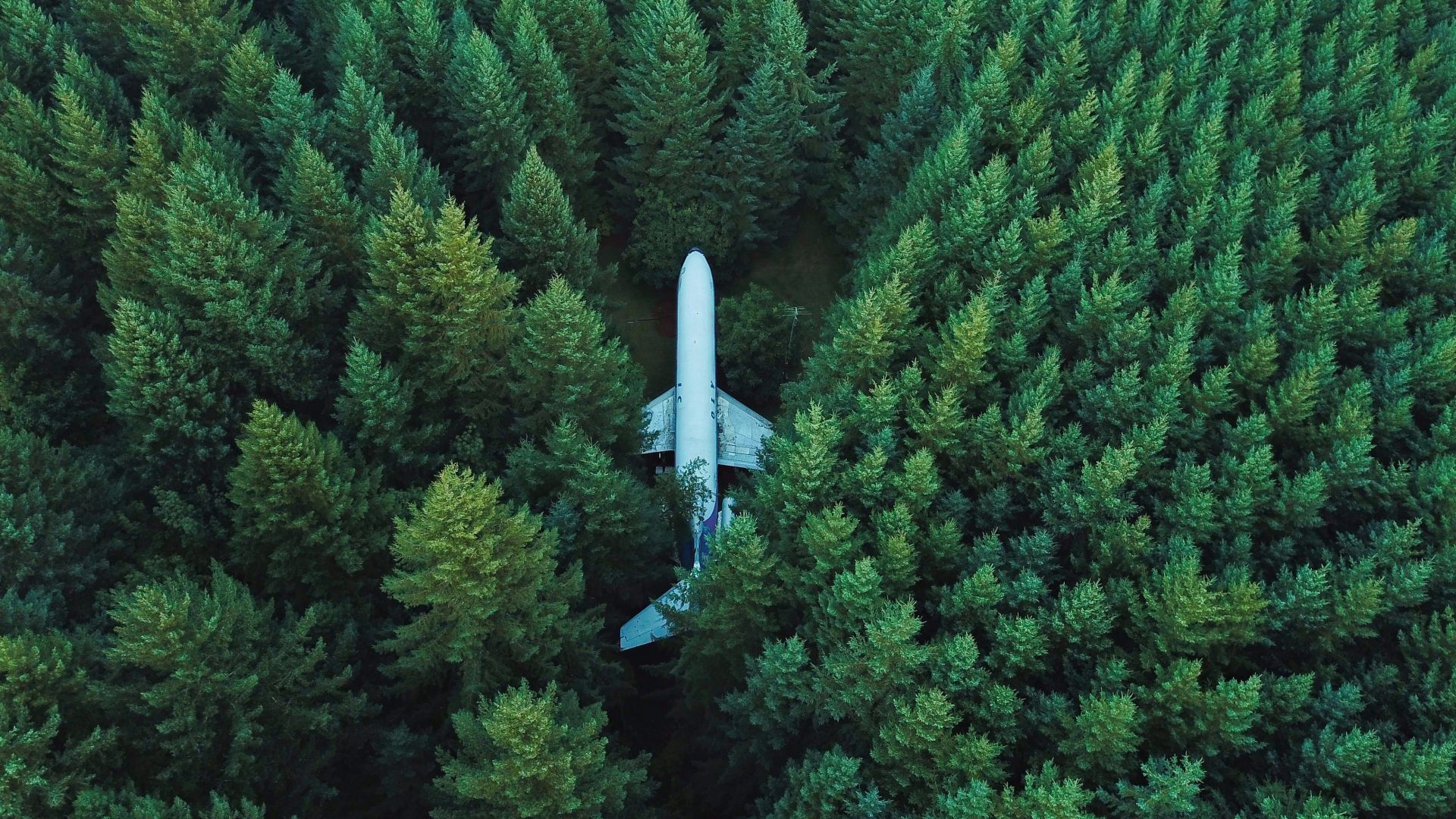 Wallpaper Airplane, aircraft, trees, aerial view, 4k