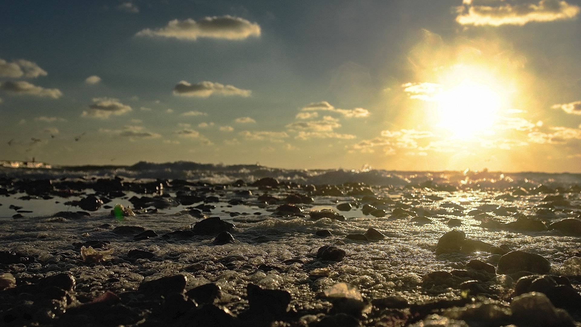 Wallpaper Rocks of beach in sunset