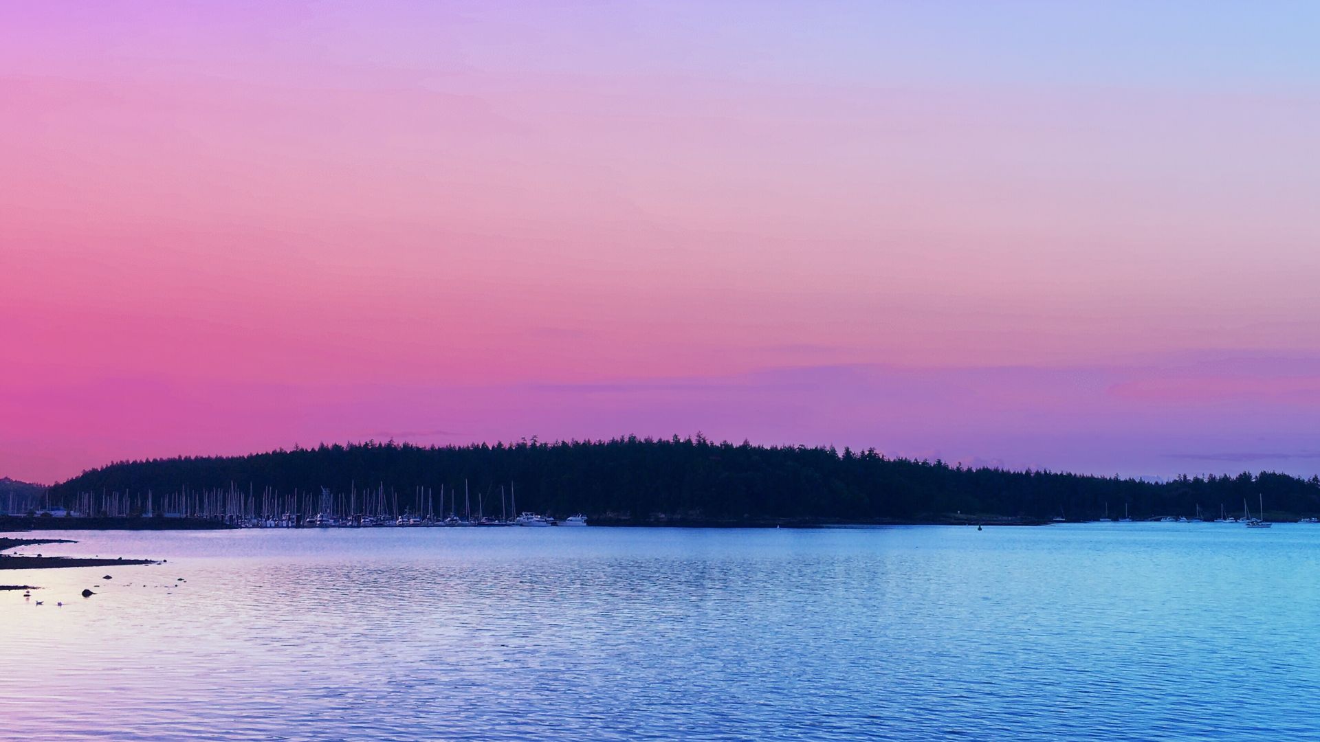 Wallpaper Pink skyline, sunset, lake, trees