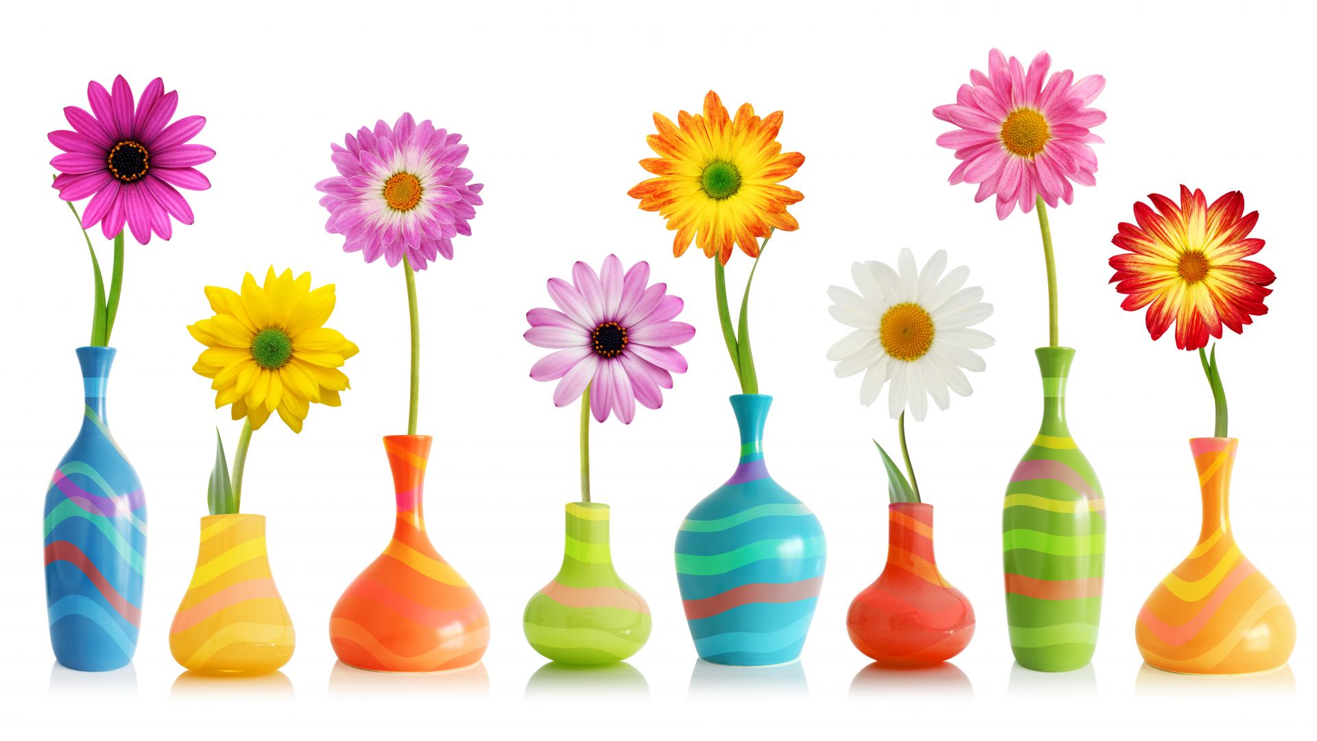 Wallpaper Flowers, colorful, vase