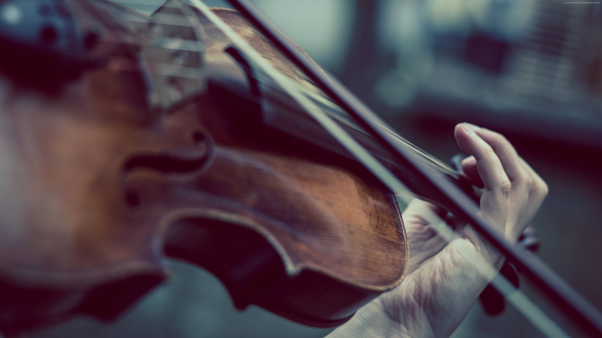 Wallpaper Violin, music, hands