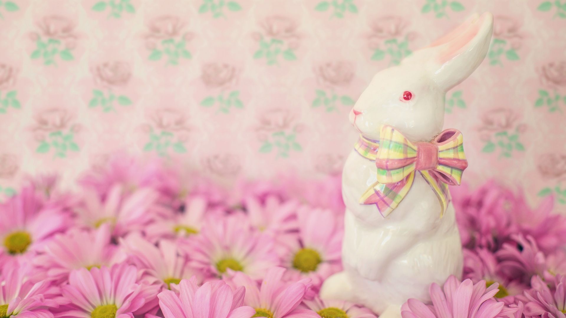 Wallpaper Easter bunny, flowers, daisies, pink
