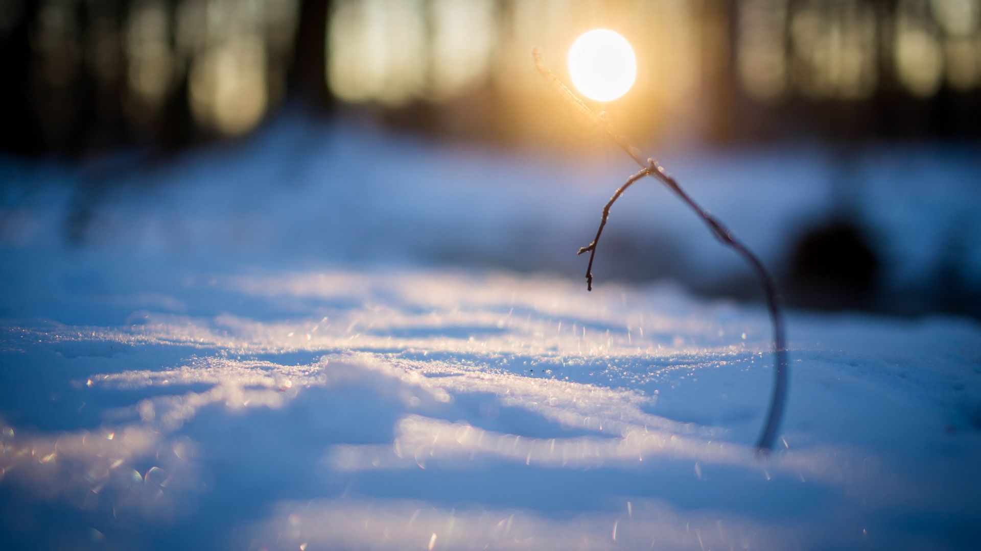 Wallpaper Sunrise, winter, snow, blur