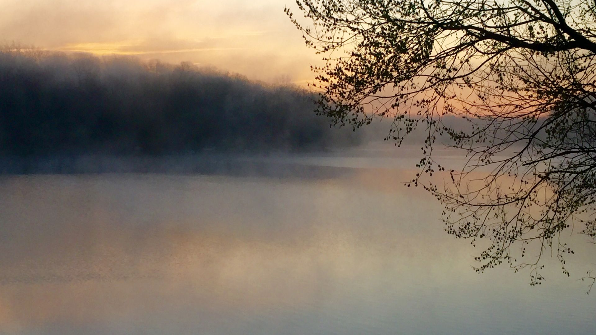 Wallpaper Sunset, fog, mist, tree branches, nature, lake