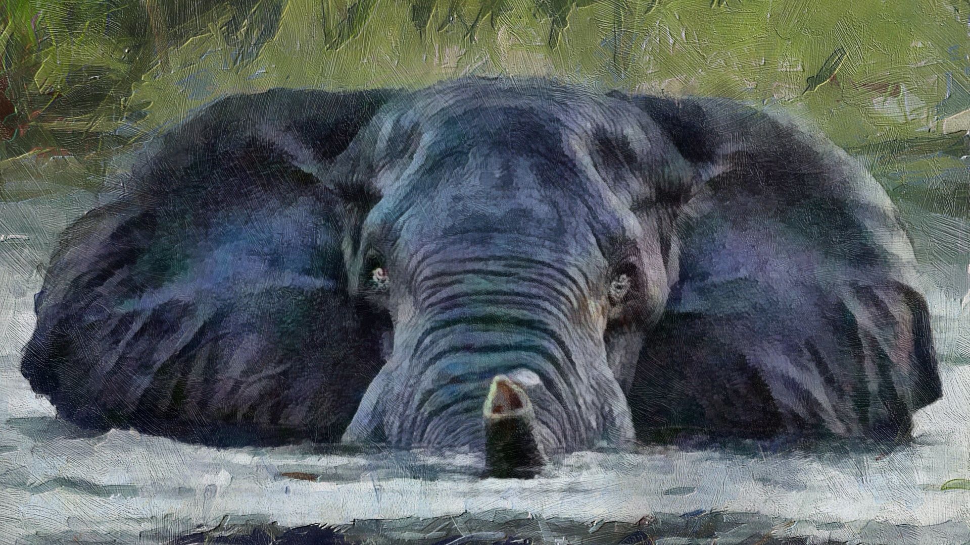 Wallpaper Elephant animal artwork