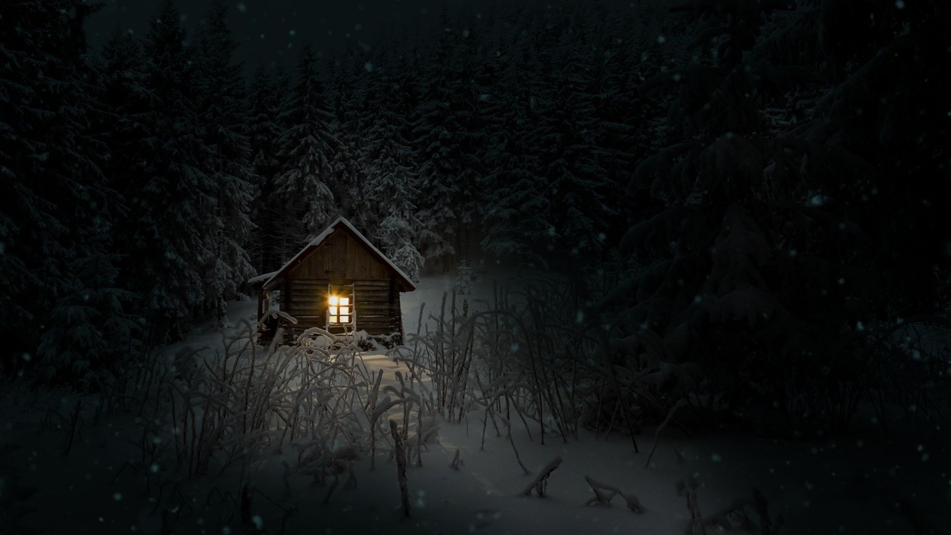Wallpaper House, cabin, night, winter