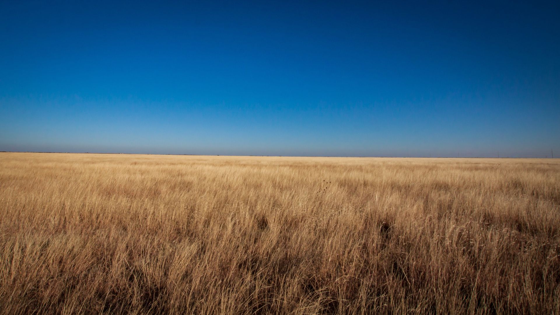 Wallpaper Sky, grassland, landscape, 4k