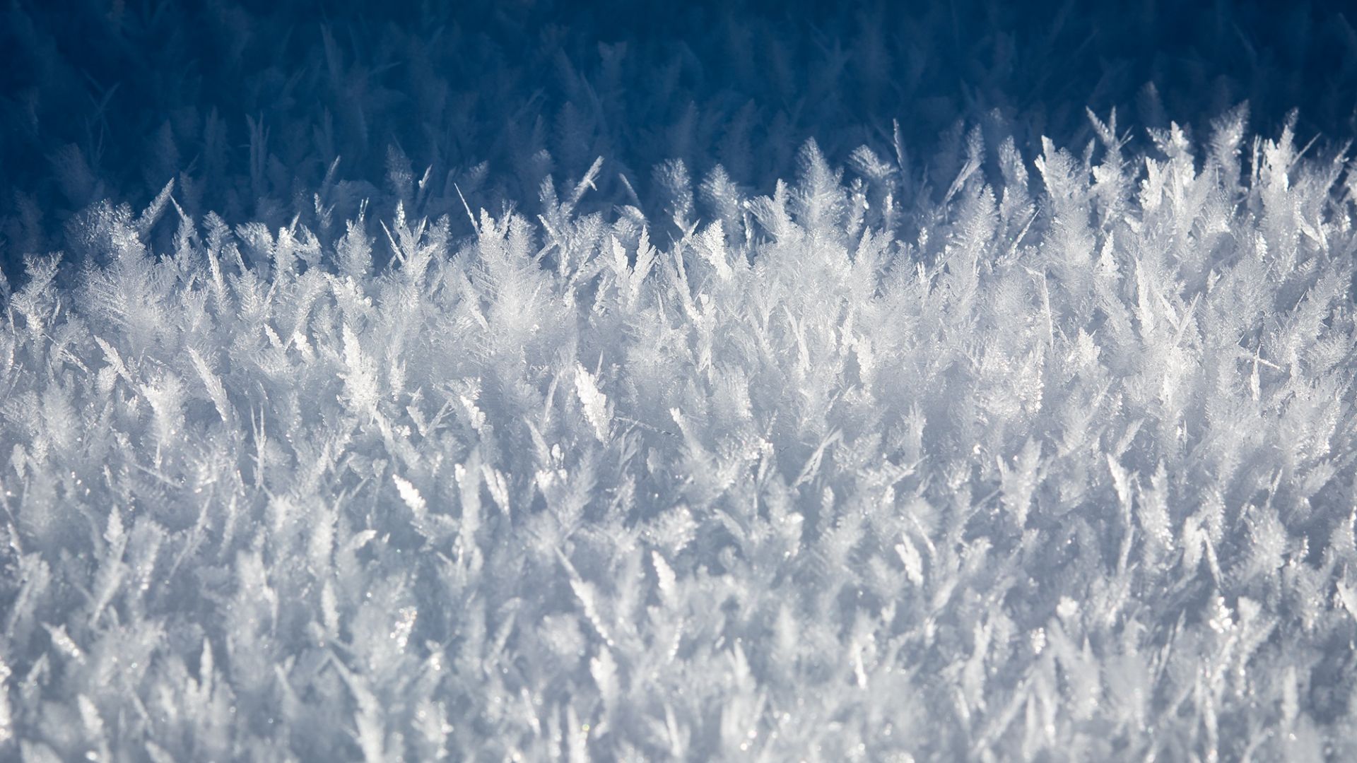 Wallpaper Snowflakes, ice, winter