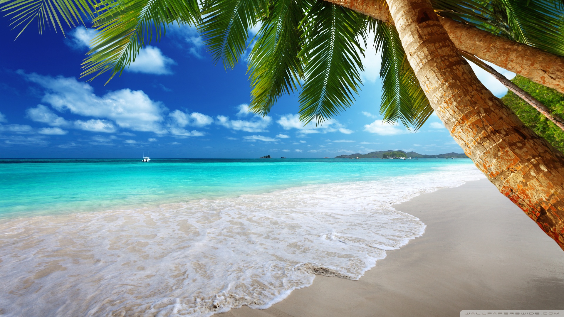 Desktop Wallpaper Paradise, Tropical Beach, Hd Image, Picture ...