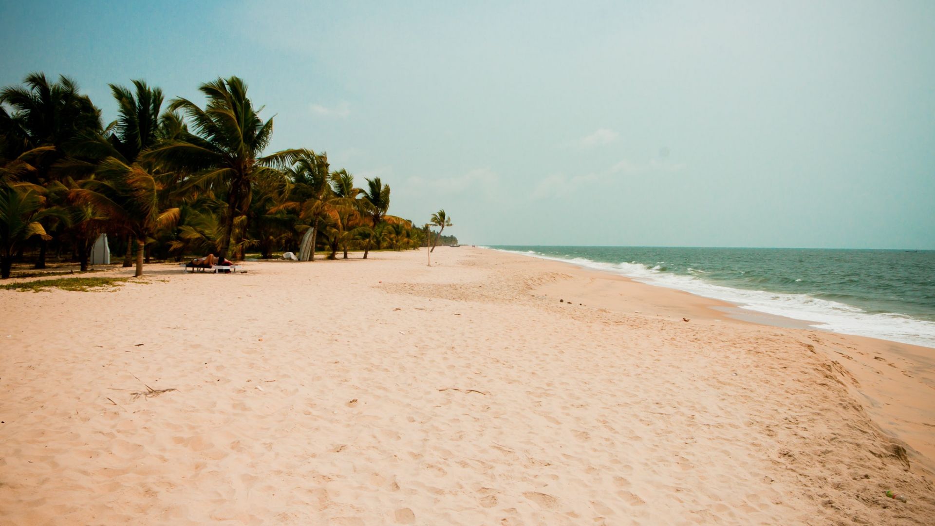 Wallpaper Beach, palm tree, sand