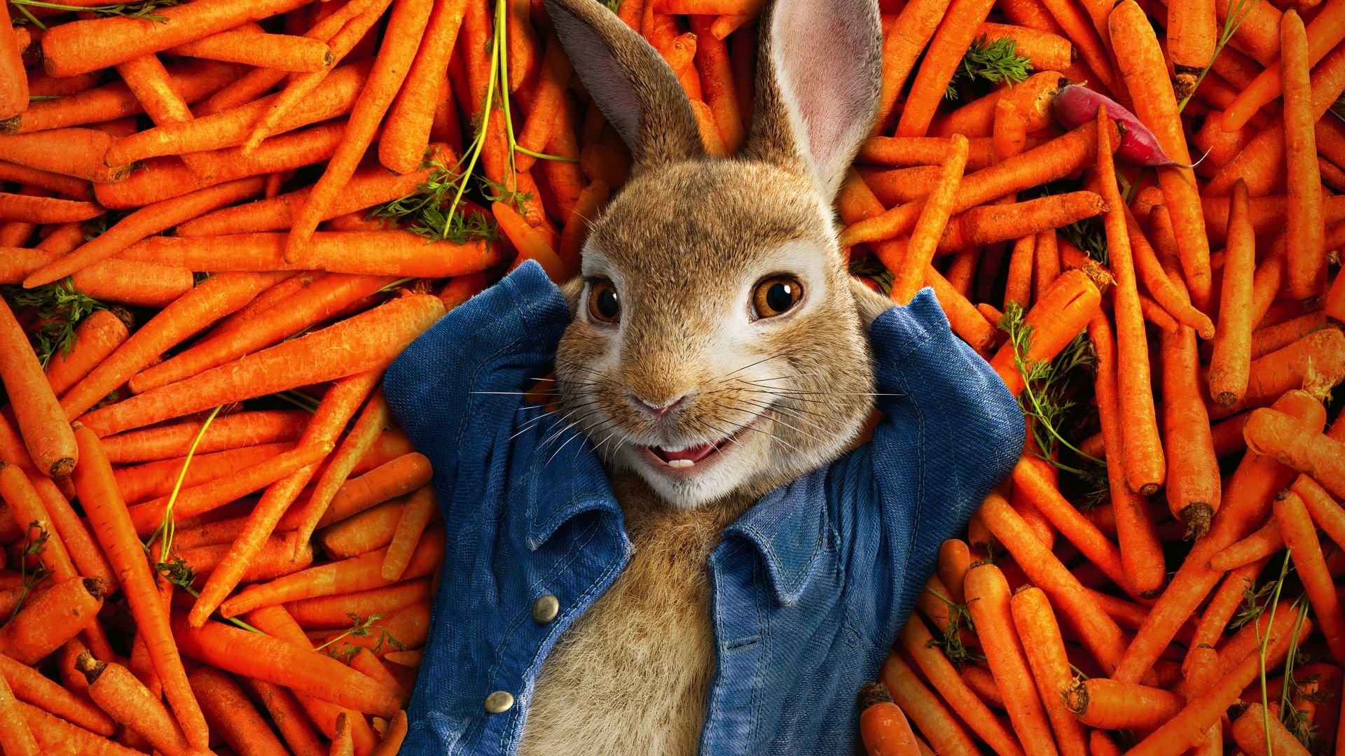 Wallpaper Peter rabbit, 2018, animation movie, 4k