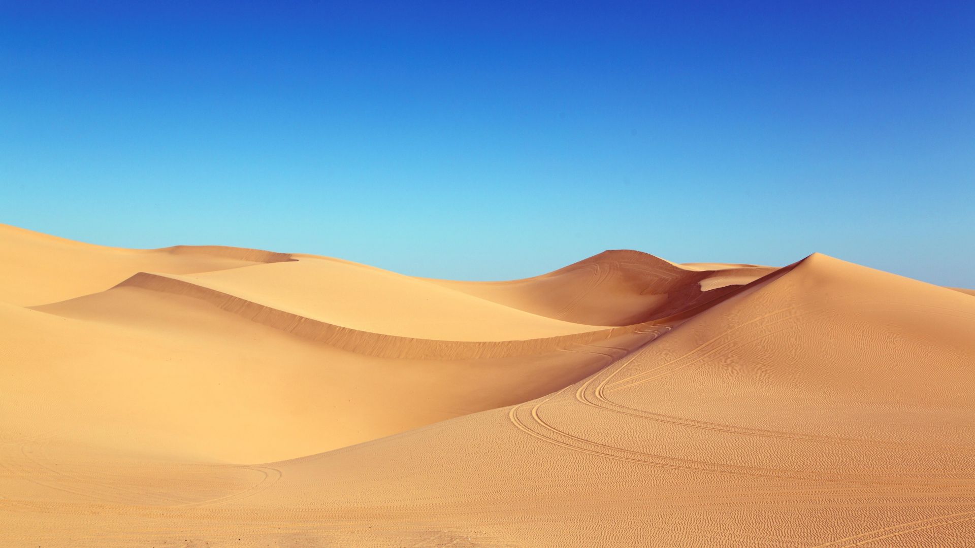 Wallpaper Sahara, desert dunes, desert, blue skyline, nature, 5k
