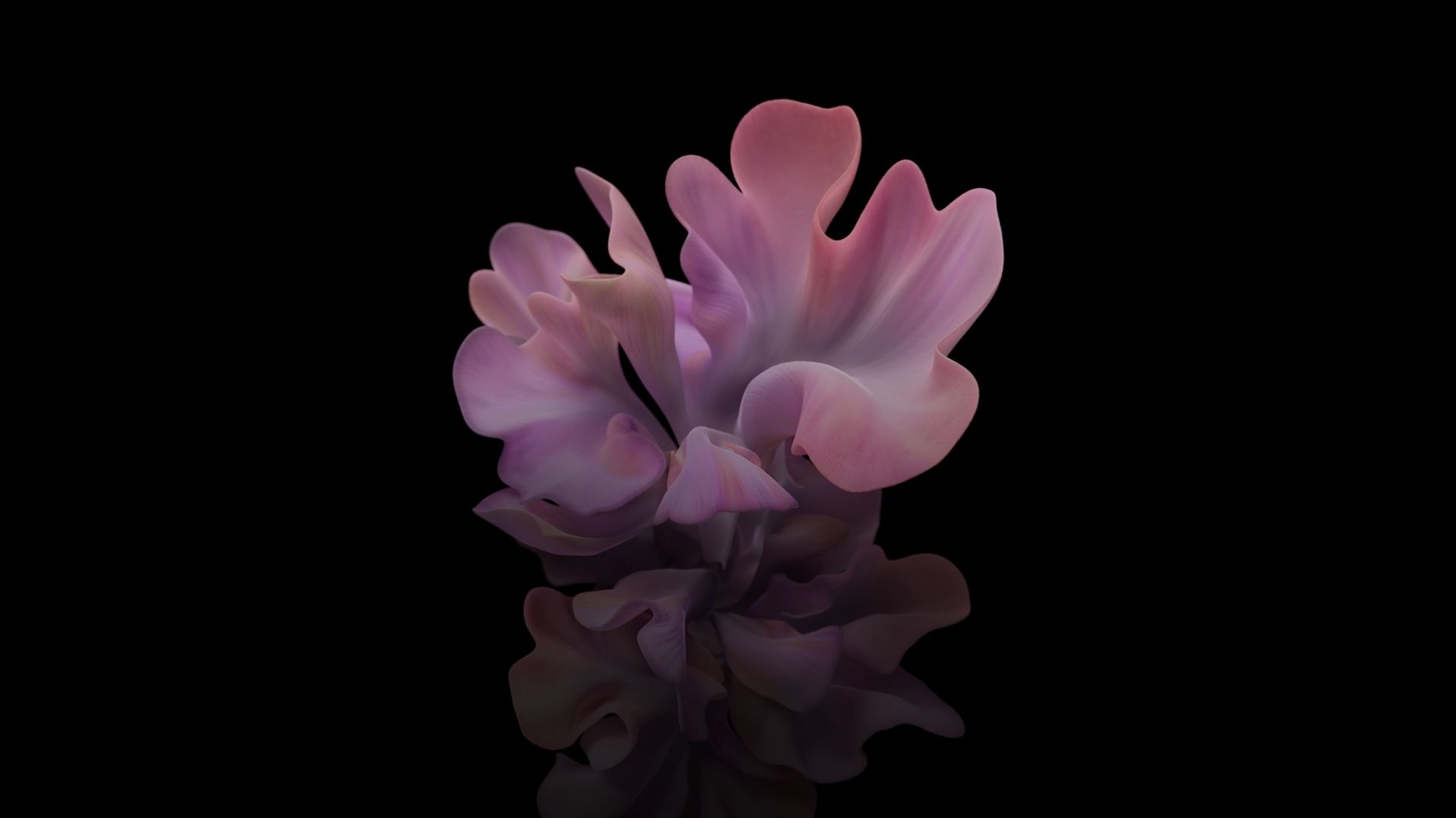 Wallpaper Pink flower, stock