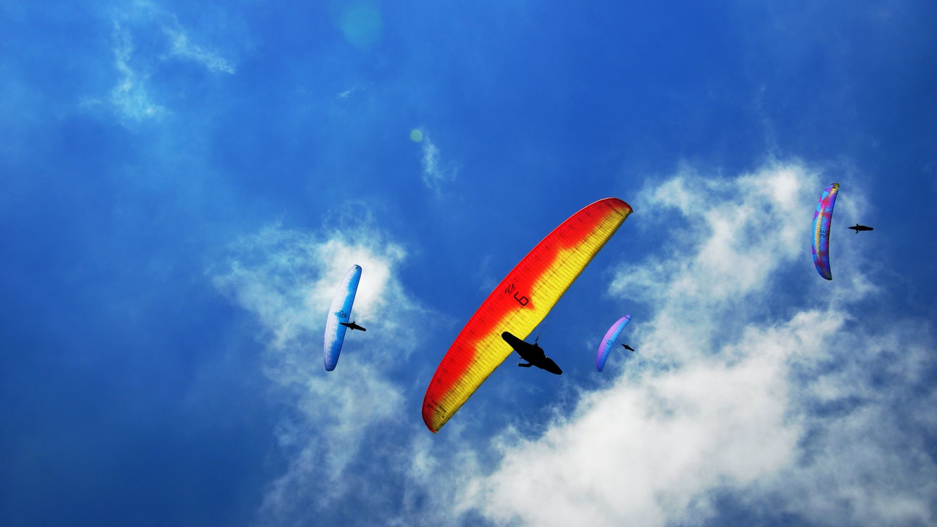 Wallpaper Paragliding, sports, blue sky