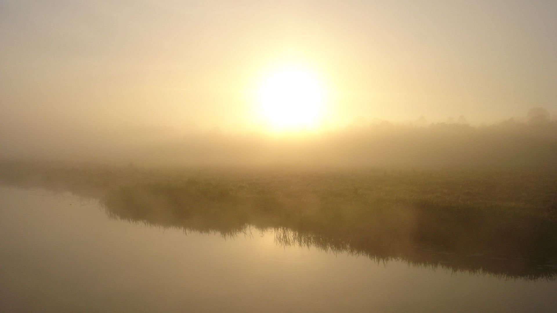 Wallpaper Morning, dusk, fog, lake, reflections