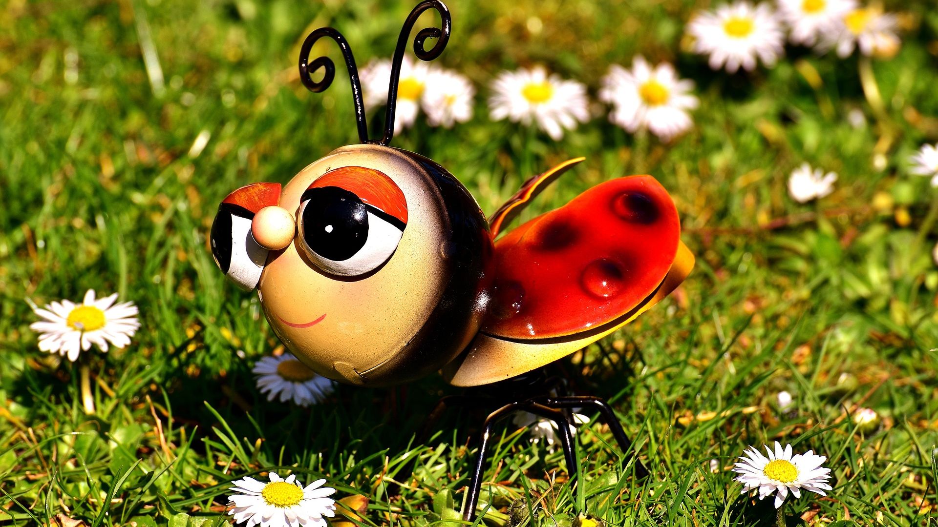 Wallpaper Ladybug, insect toy, grass, wild flowers