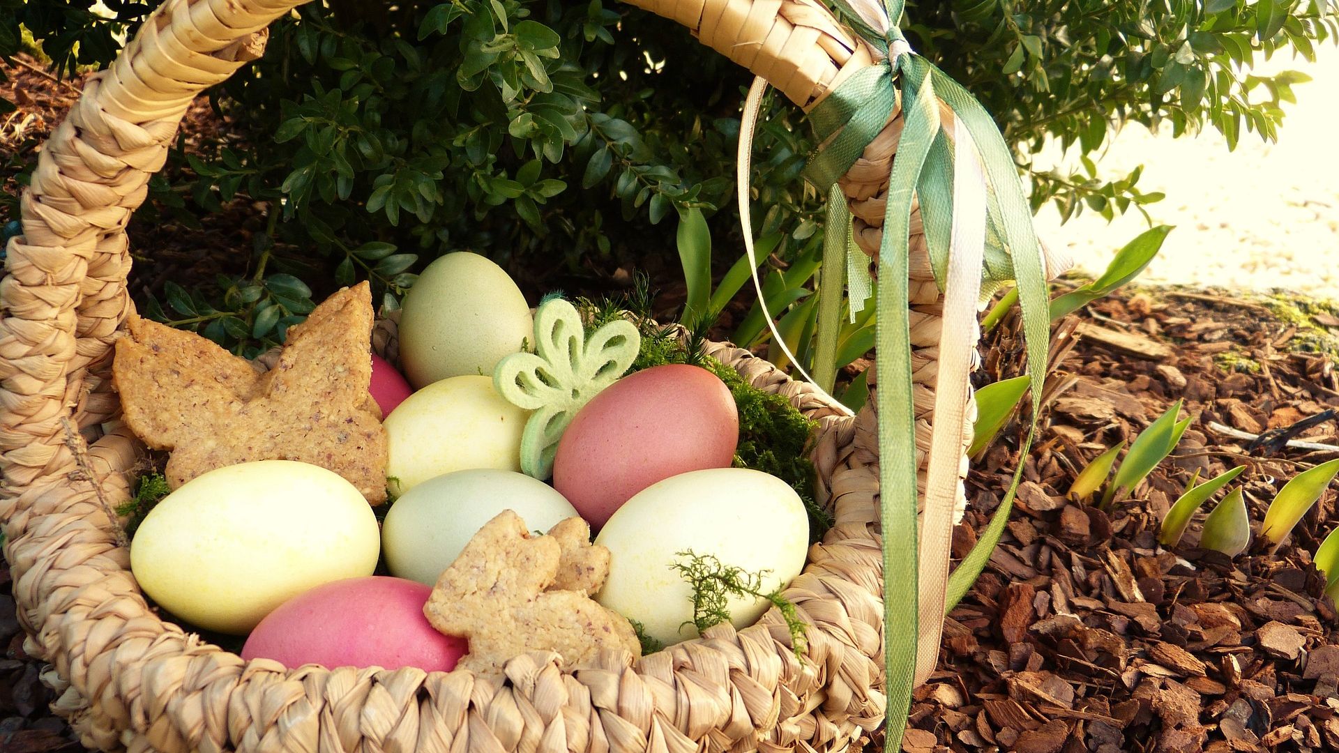 Wallpaper Easter nest, Easter eggs, colored
