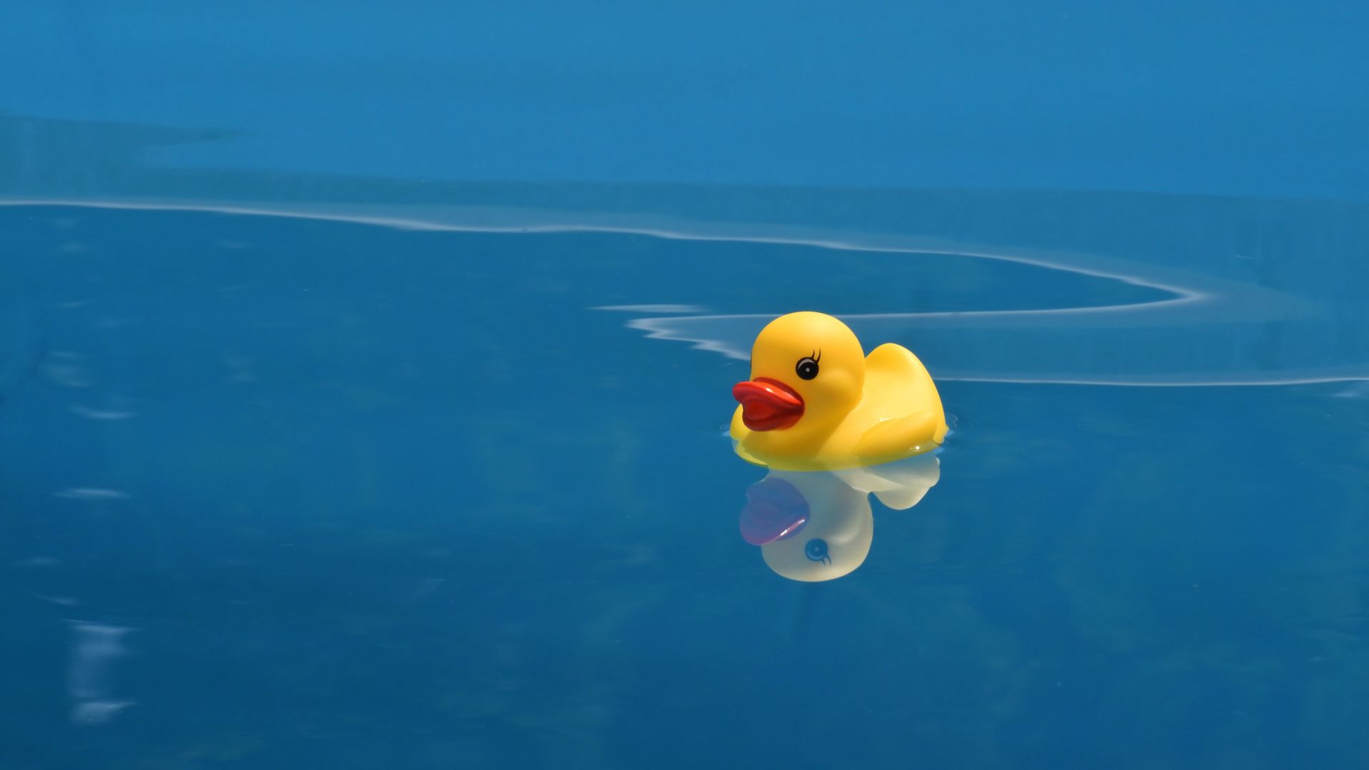 Wallpaper Yellow, duck, toy, swim, reflections