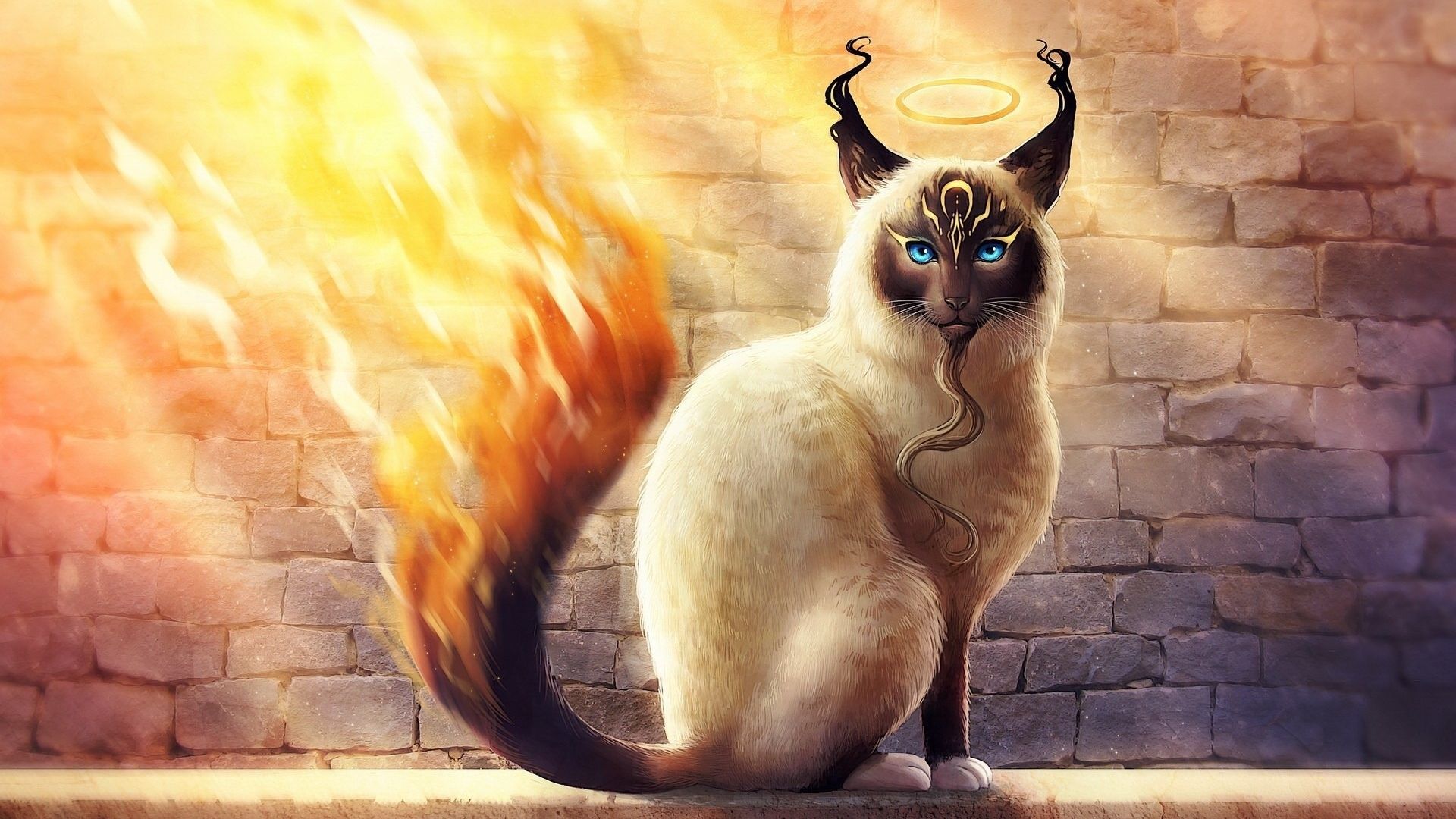 Wallpaper Cat on fire, fantasy, artwork