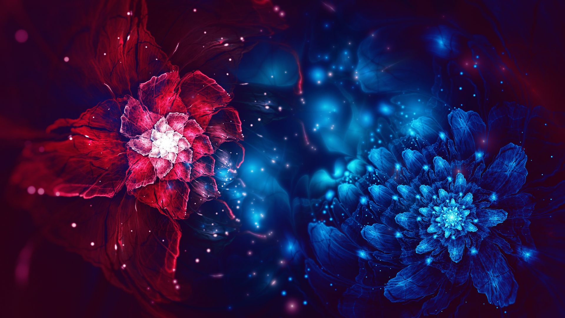 Wallpaper Red blue flowers, fractal, digital art
