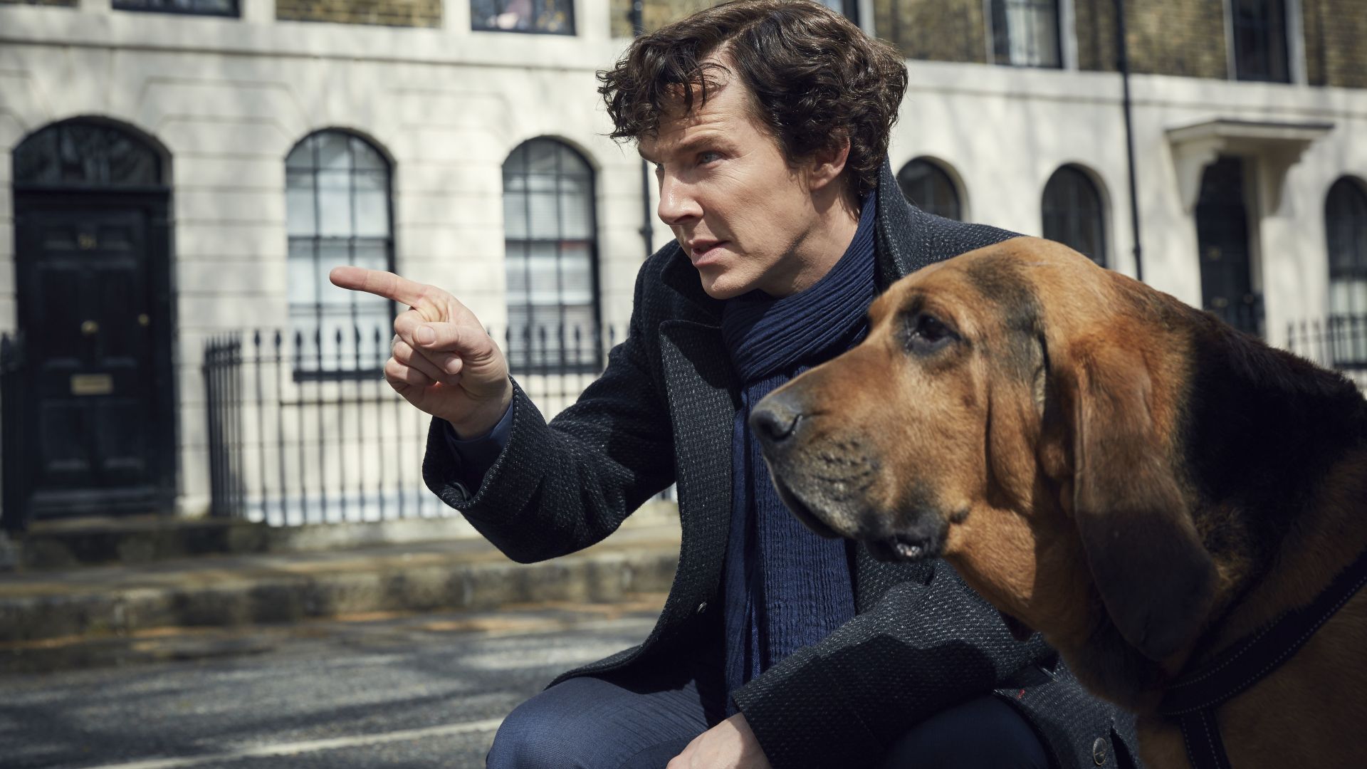 Wallpaper Benedict Cumberbatch in sherlock tv series, dog