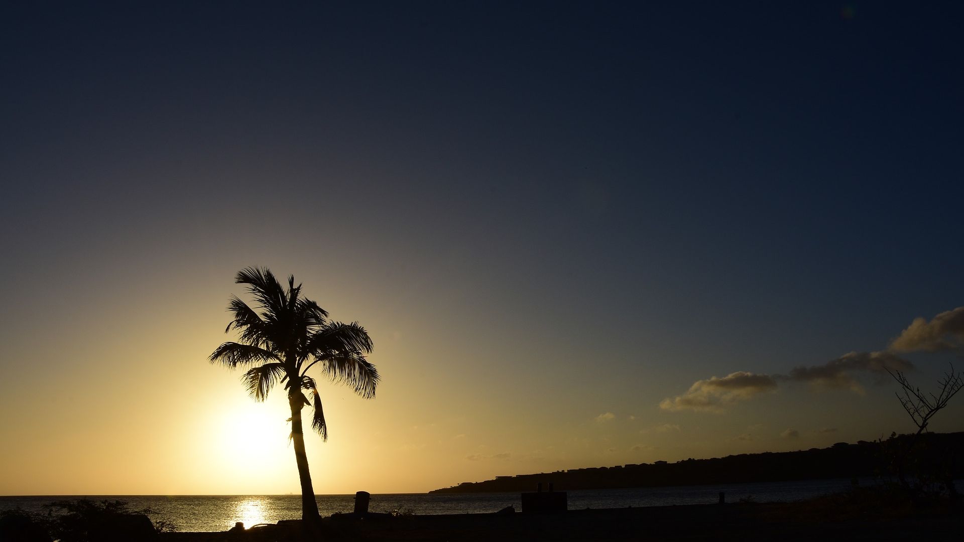 Wallpaper Palm tree, sunset, beach, skyline
