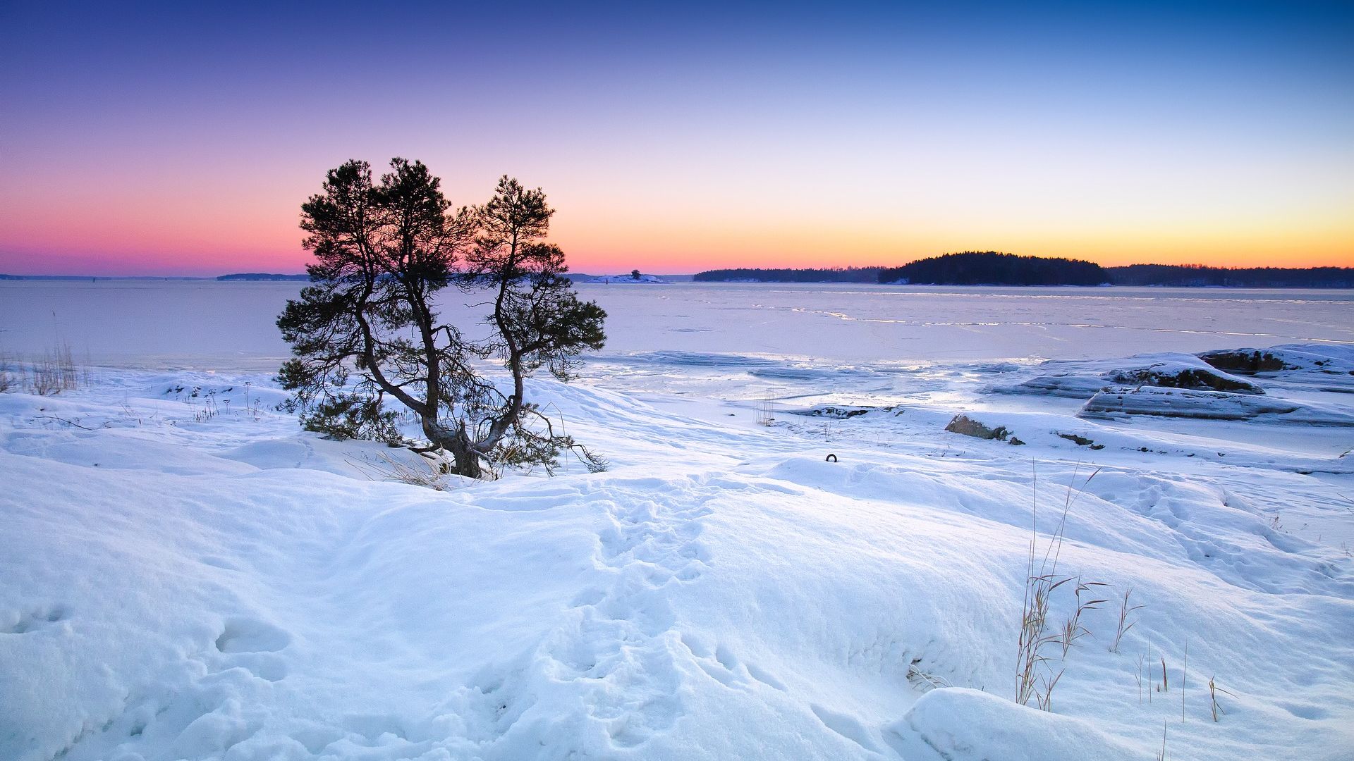 Wallpaper Winter, snow, lake, tree, skyline, sunset