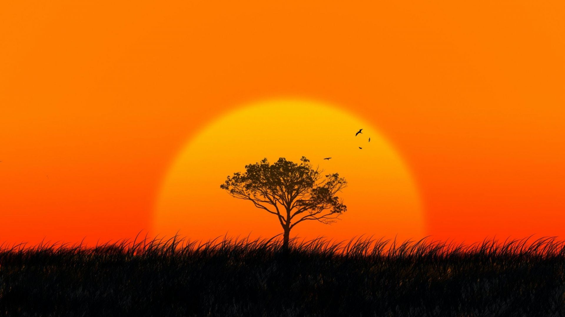 Wallpaper Sunset, sun, tree, silhouette