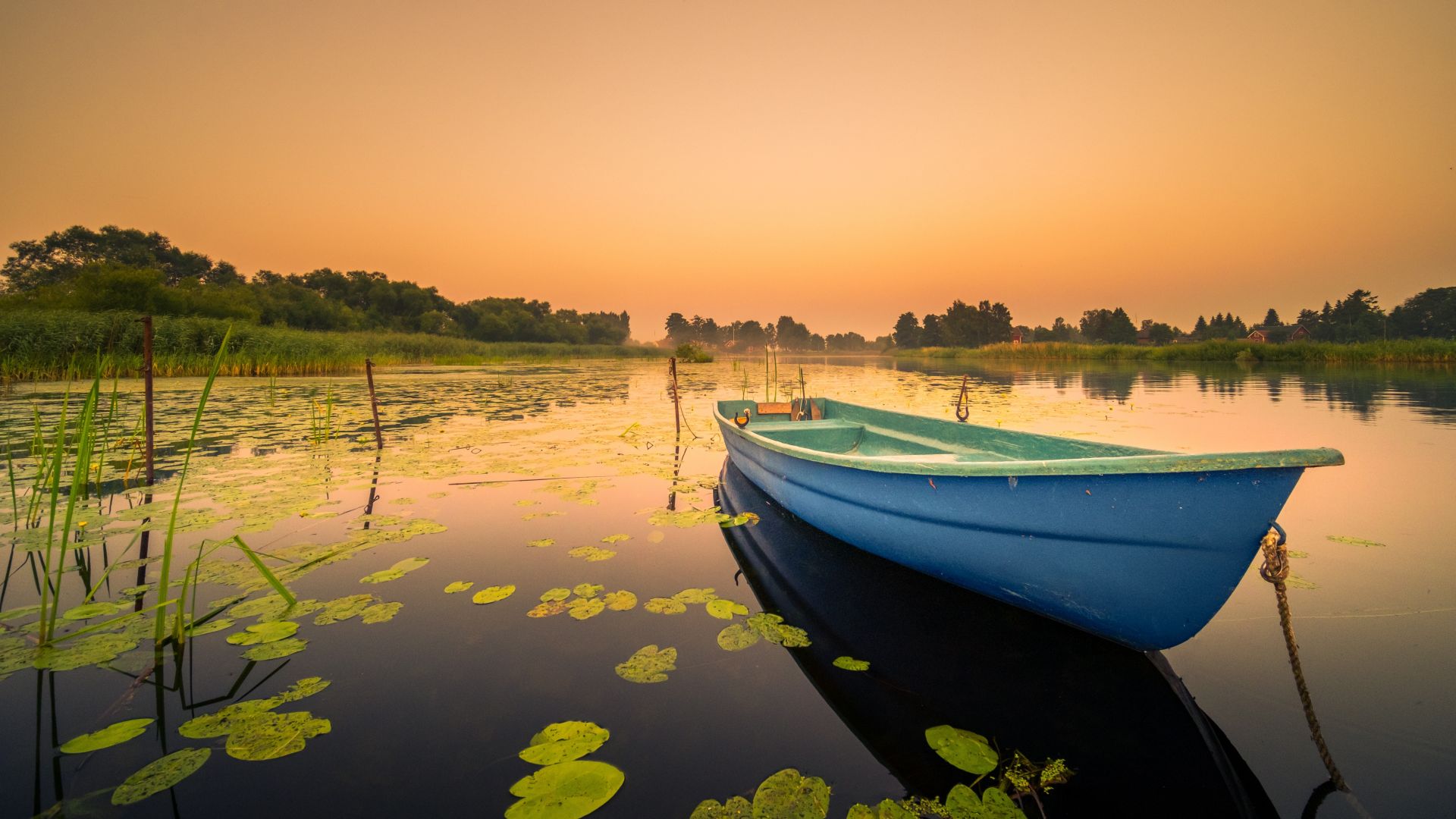 Wallpaper Boat, lily flowers on water, lake, sunset