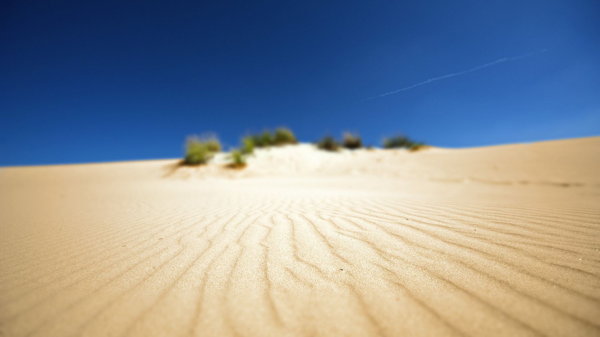 Wallpaper Desert blurred
