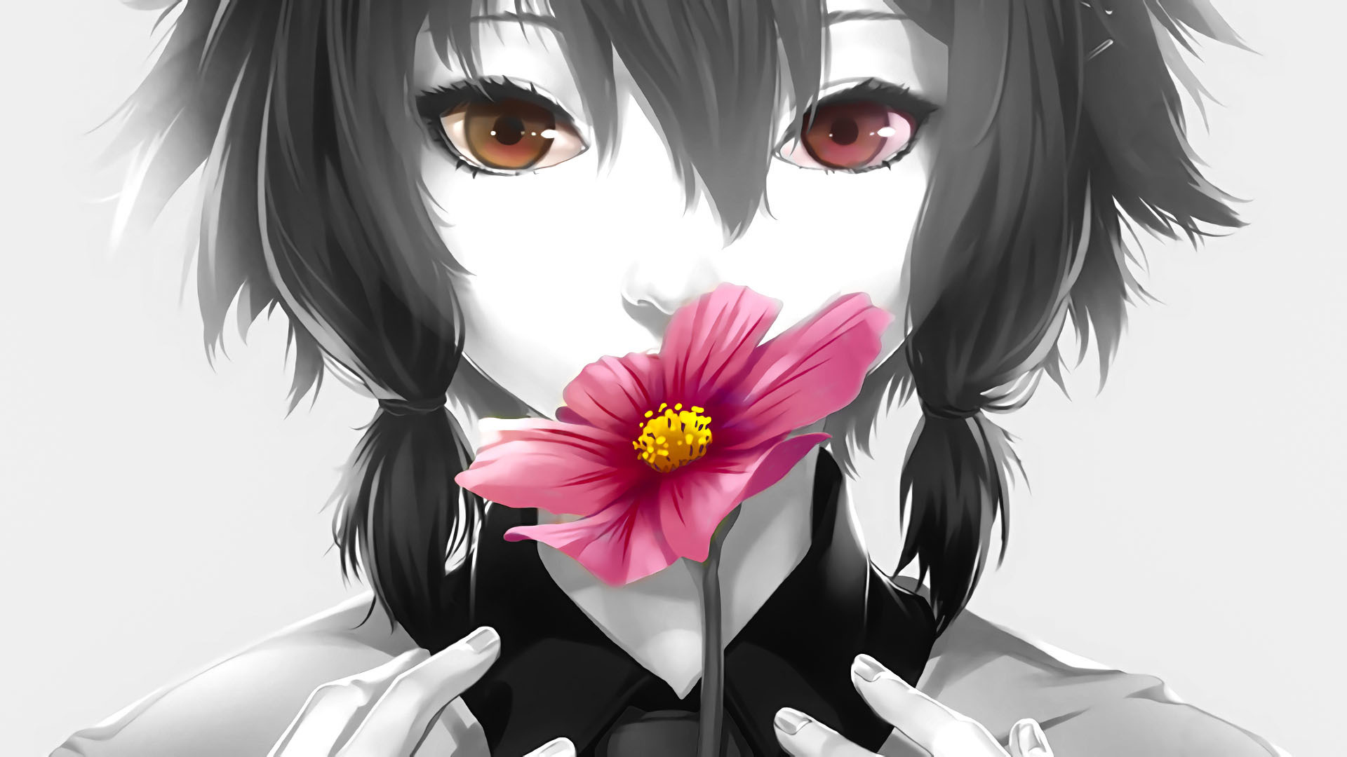 Wallpaper Anime girl, flower, pink flower, original