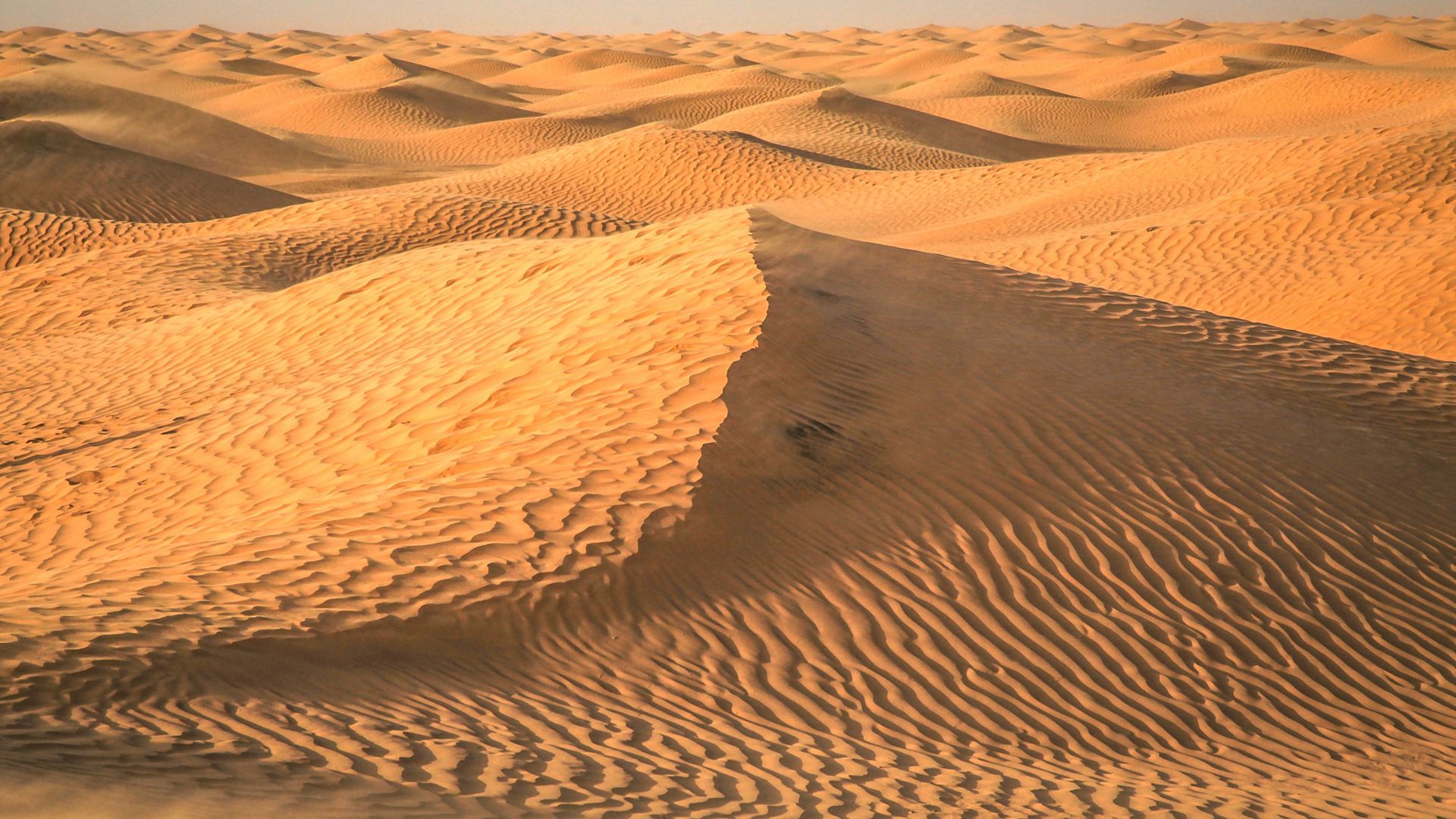 Wallpaper Tunisia, Sahara, desert, dunes