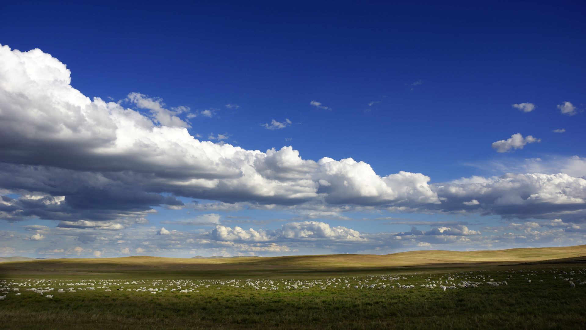 Wallpaper White clouds, blue sky, landscape
