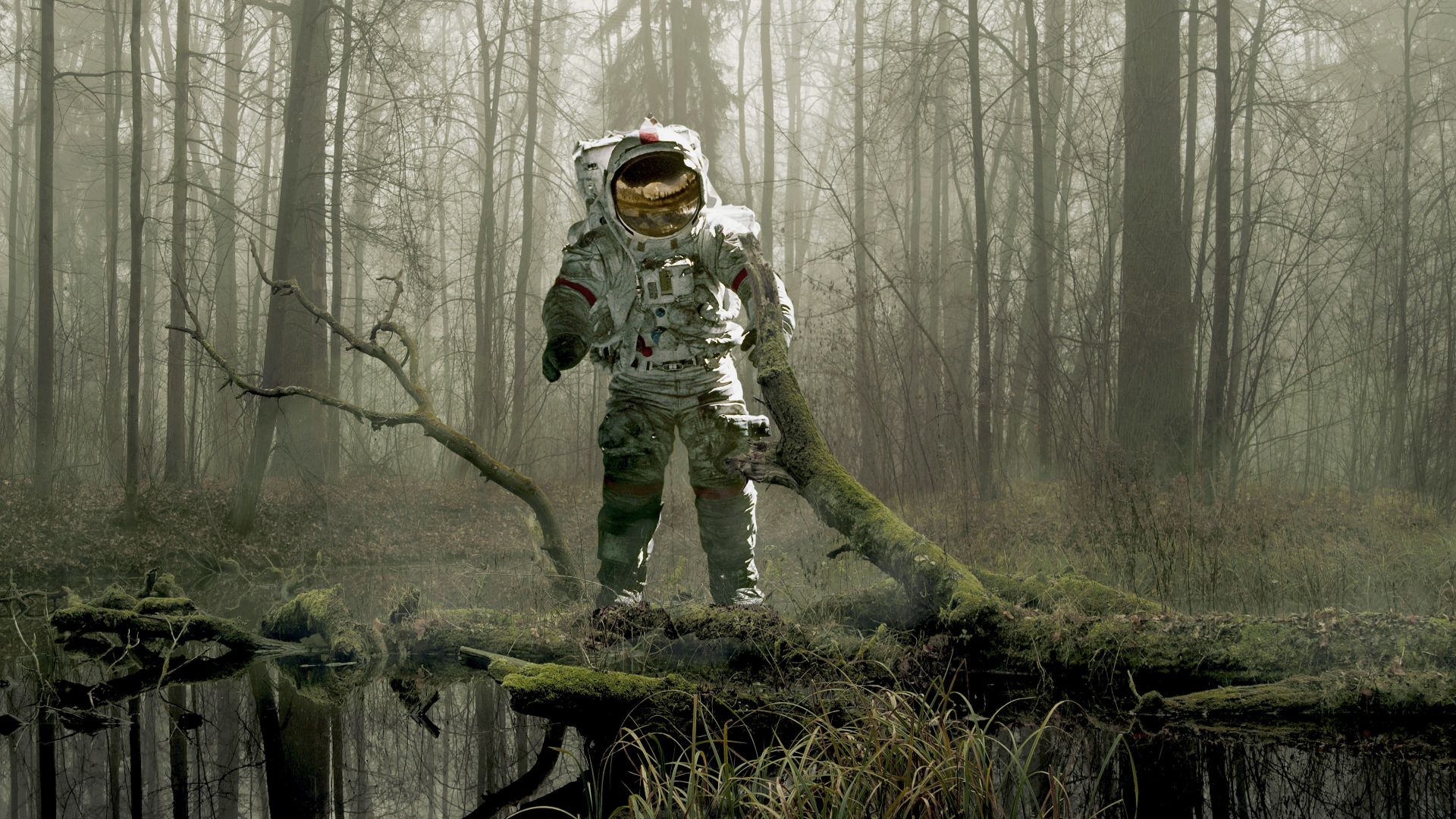 Wallpaper Astronaut, forest, earth, space suit, 4k