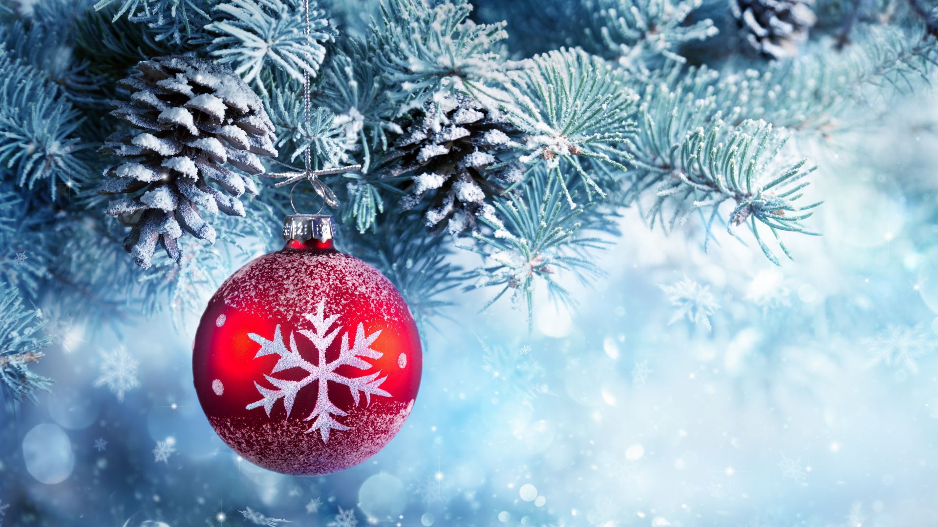 Wallpaper Christmas ball, christmas ornament, winter, pine trees, frost, 5k