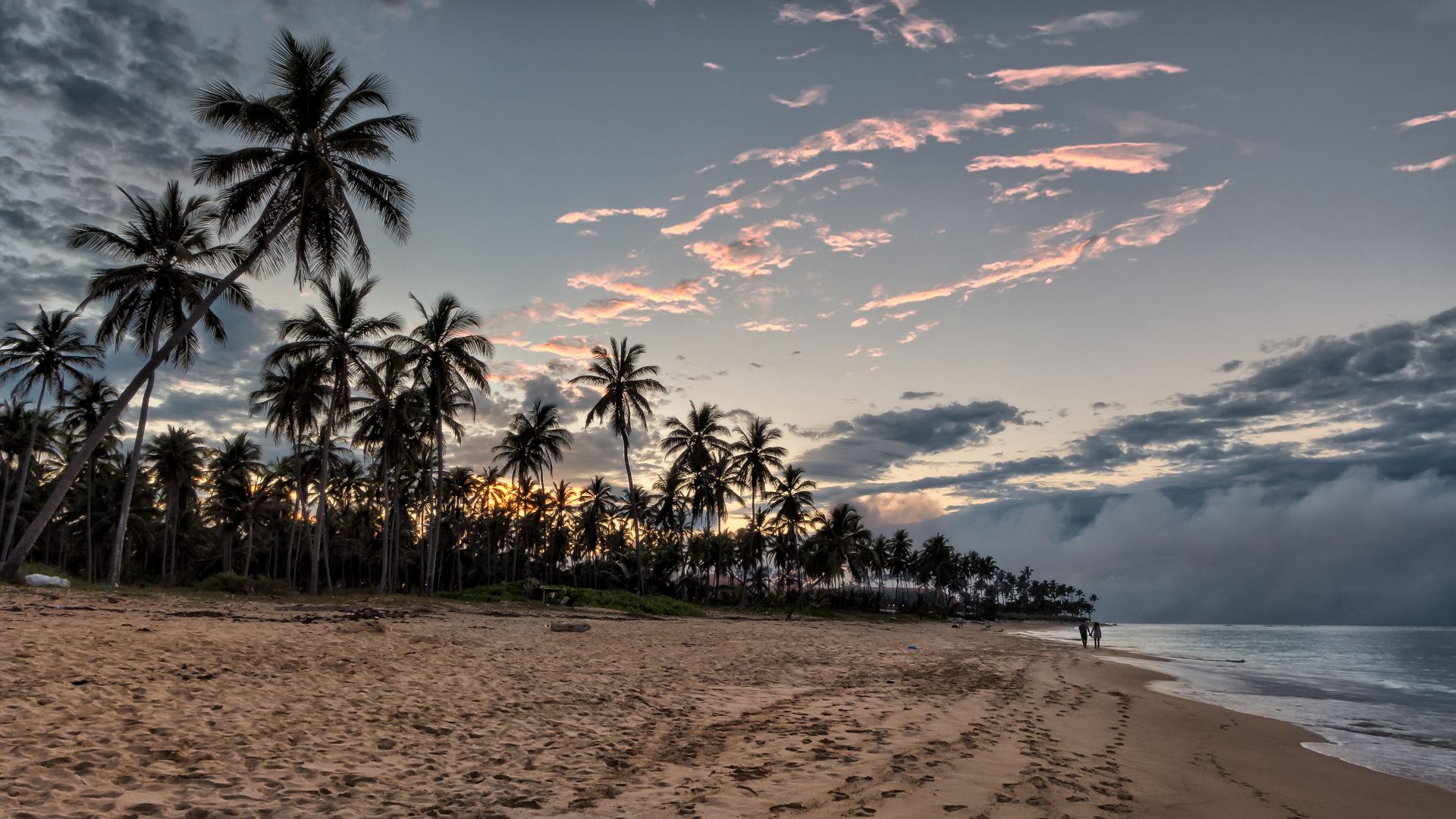 Wallpaper Sunset, beach, palm tree, sky, 4k
