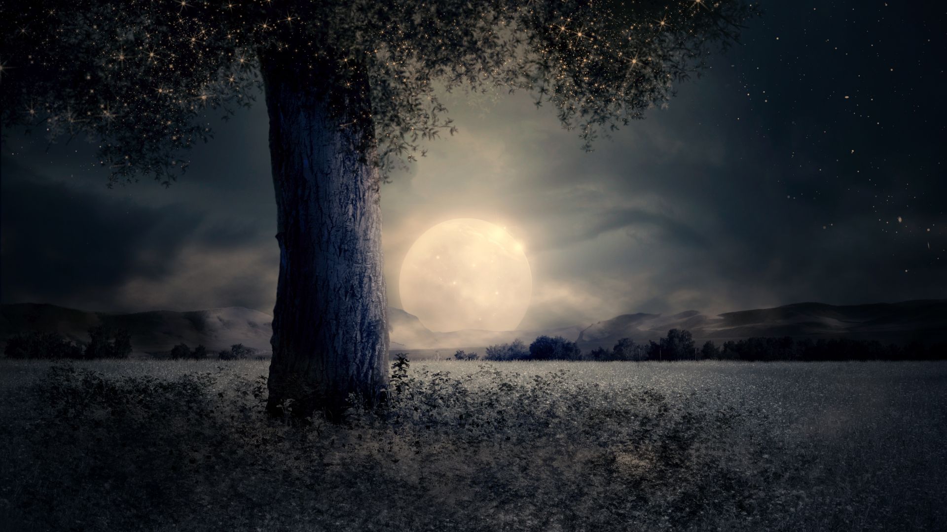 Wallpaper Tree, landscape, night, moon