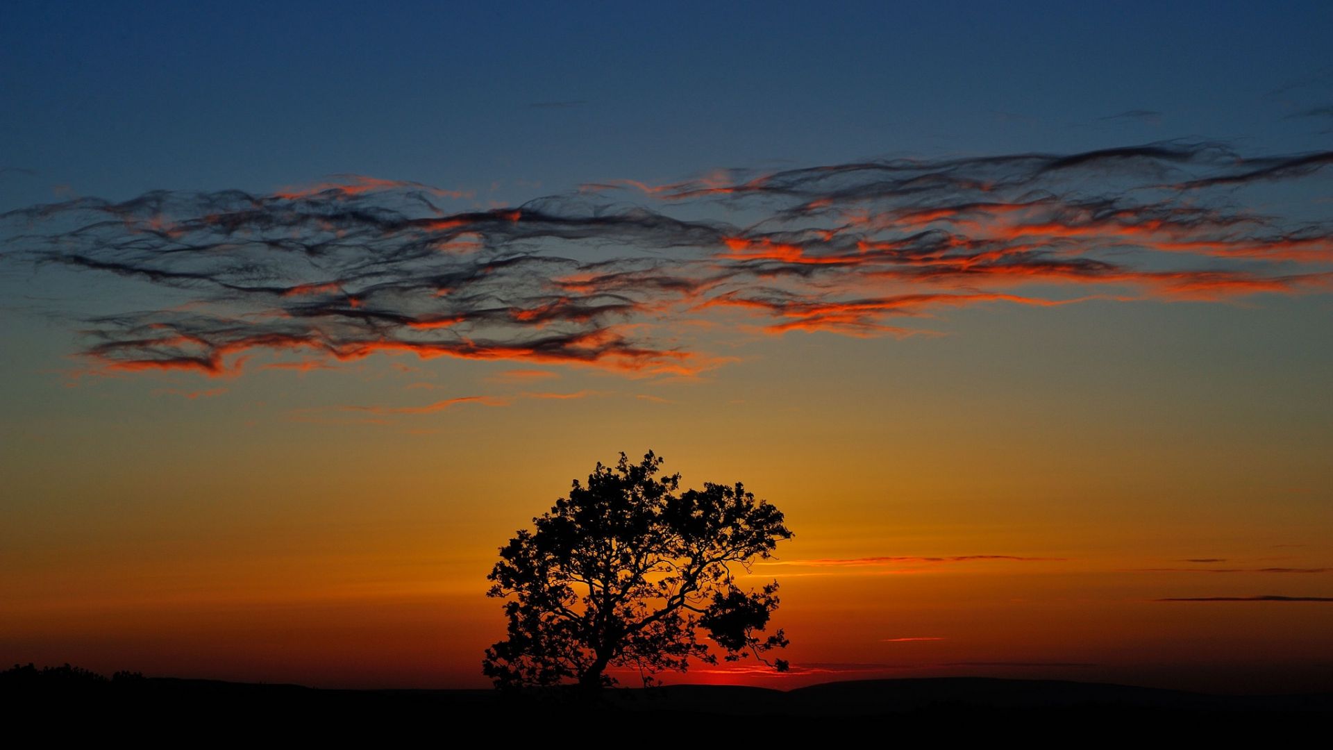 Wallpaper Horizon, sunset, clouds, tree